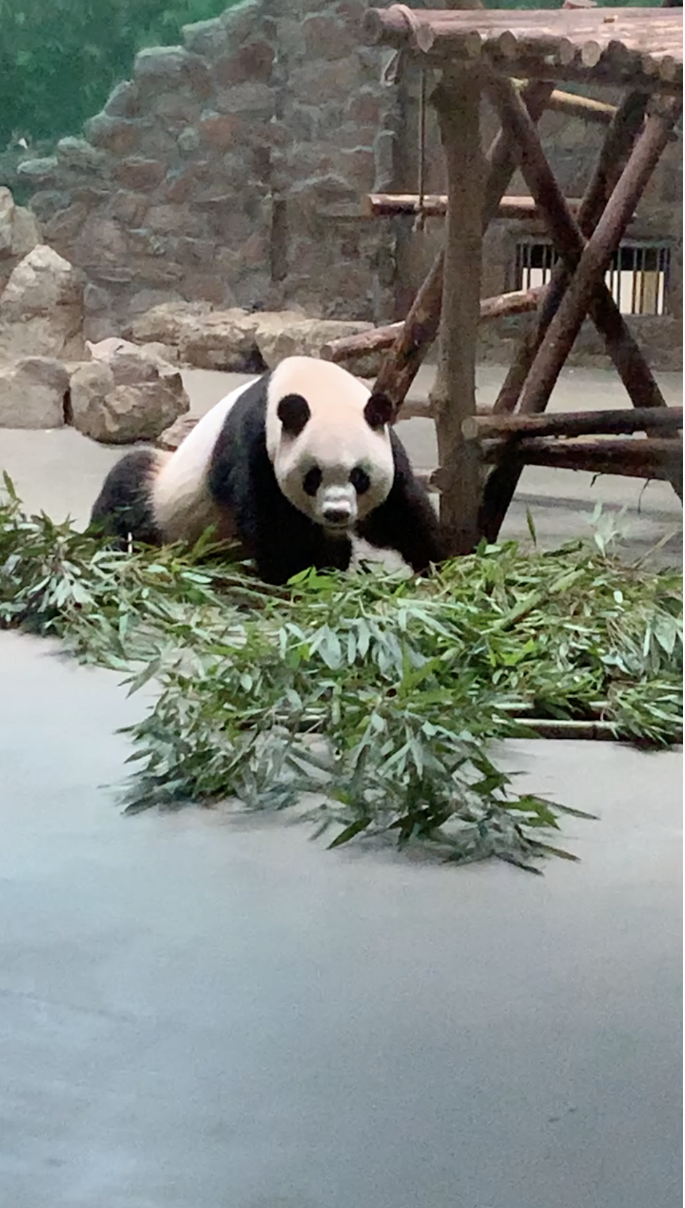 Chengdu, CHN.png