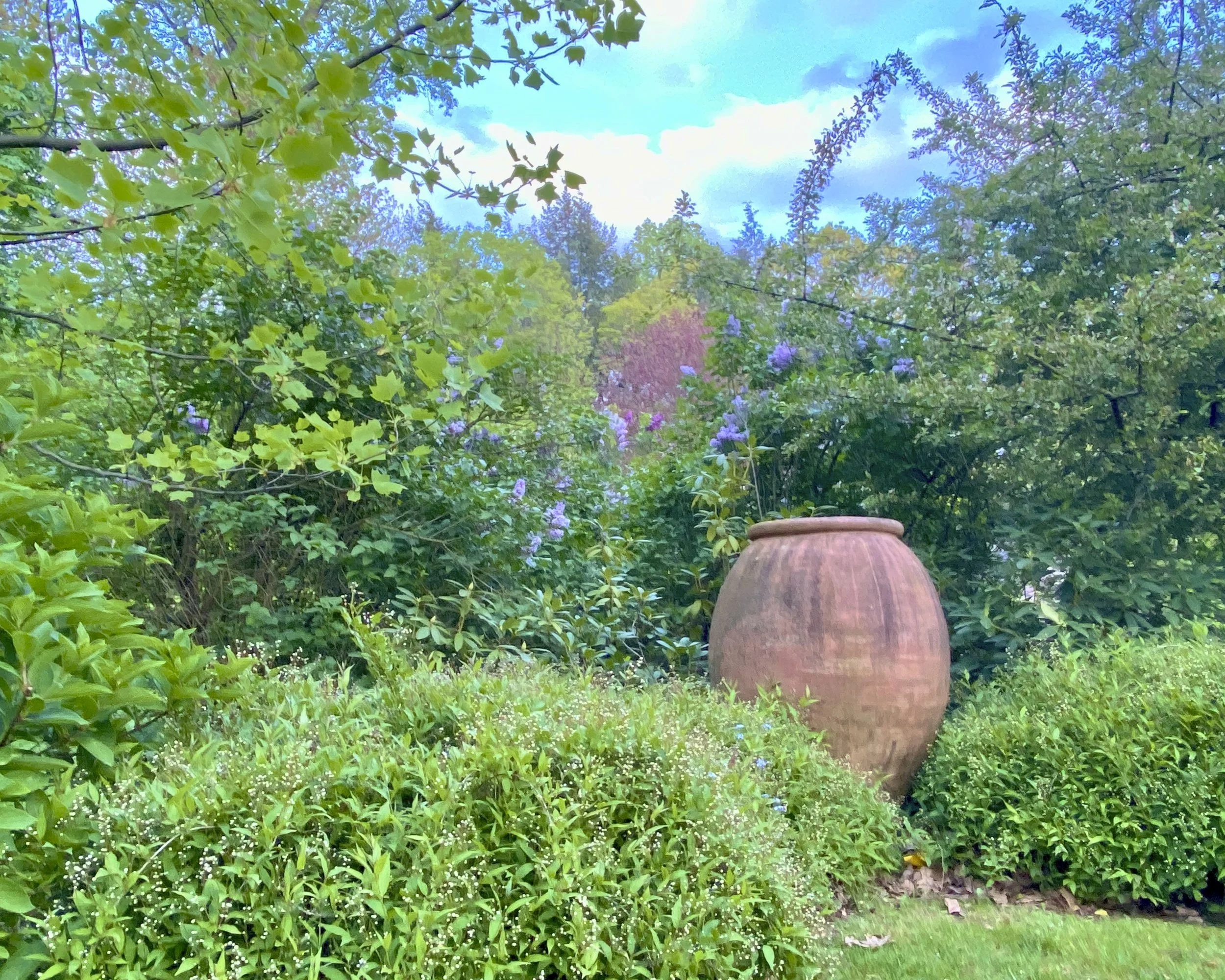 May 12 202087.JPG