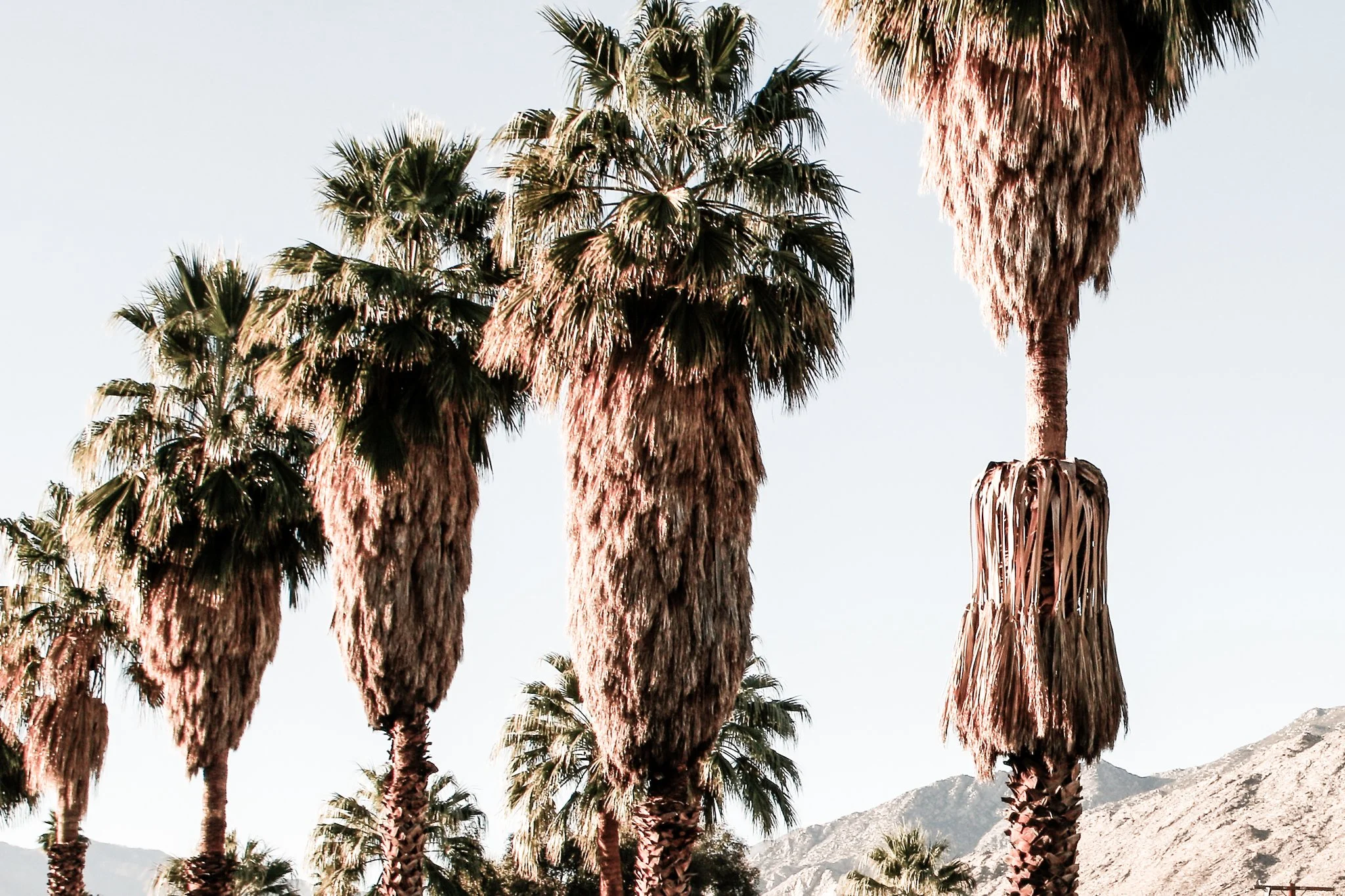 2018-01-05 11.22.03.jpg