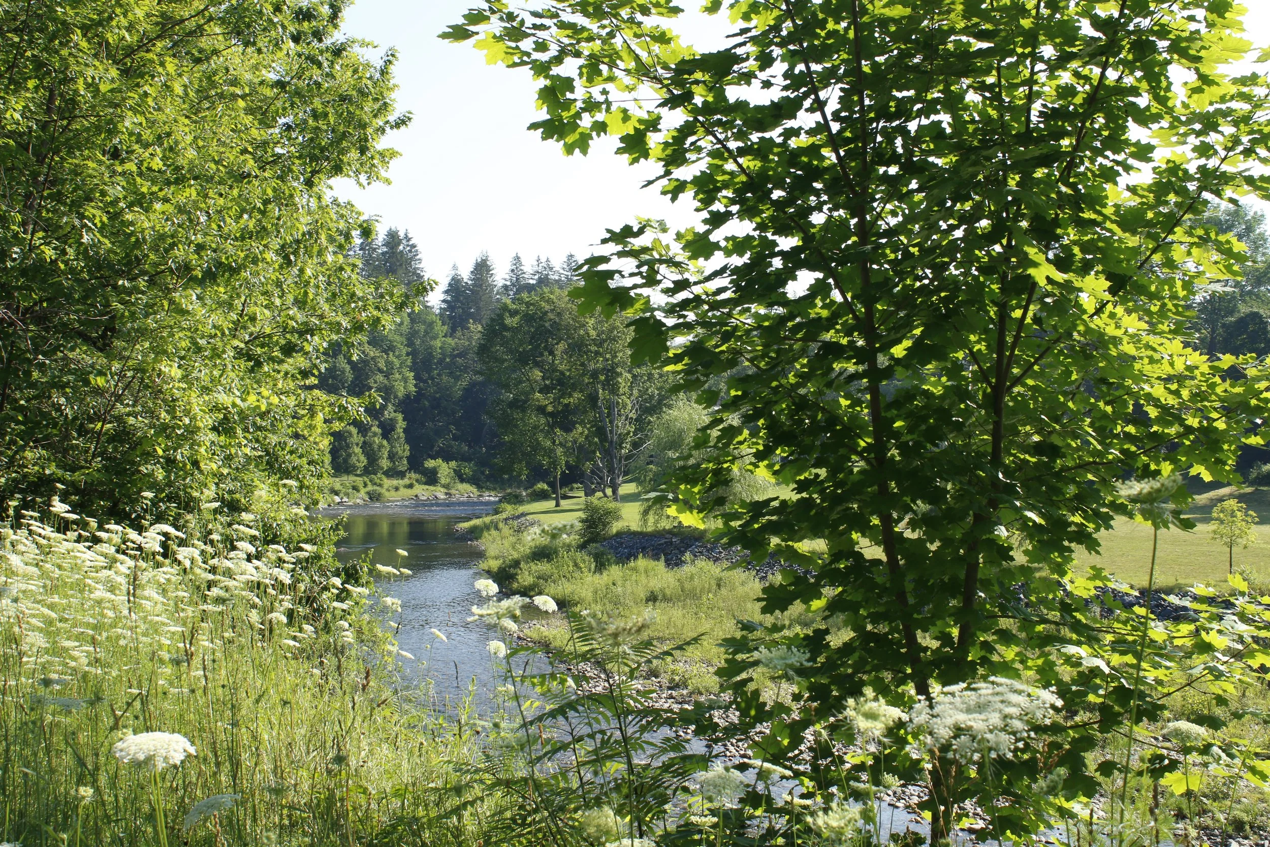 _MG_8612.JPG