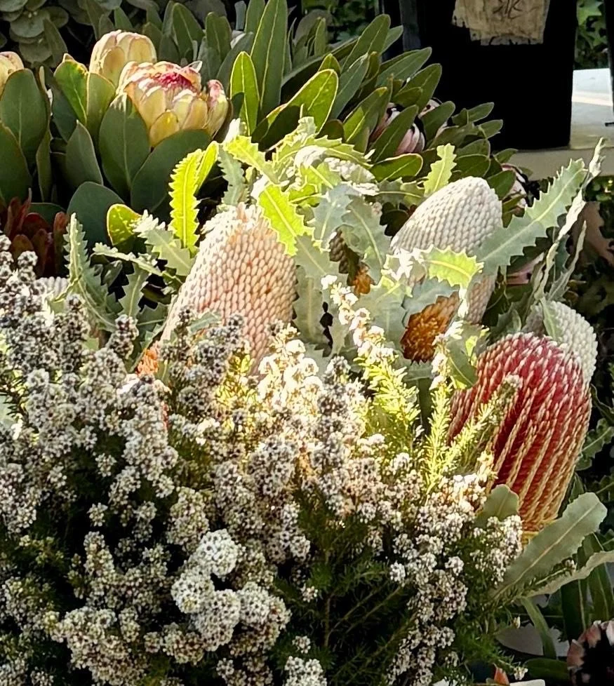 Farm Visit: South Australia