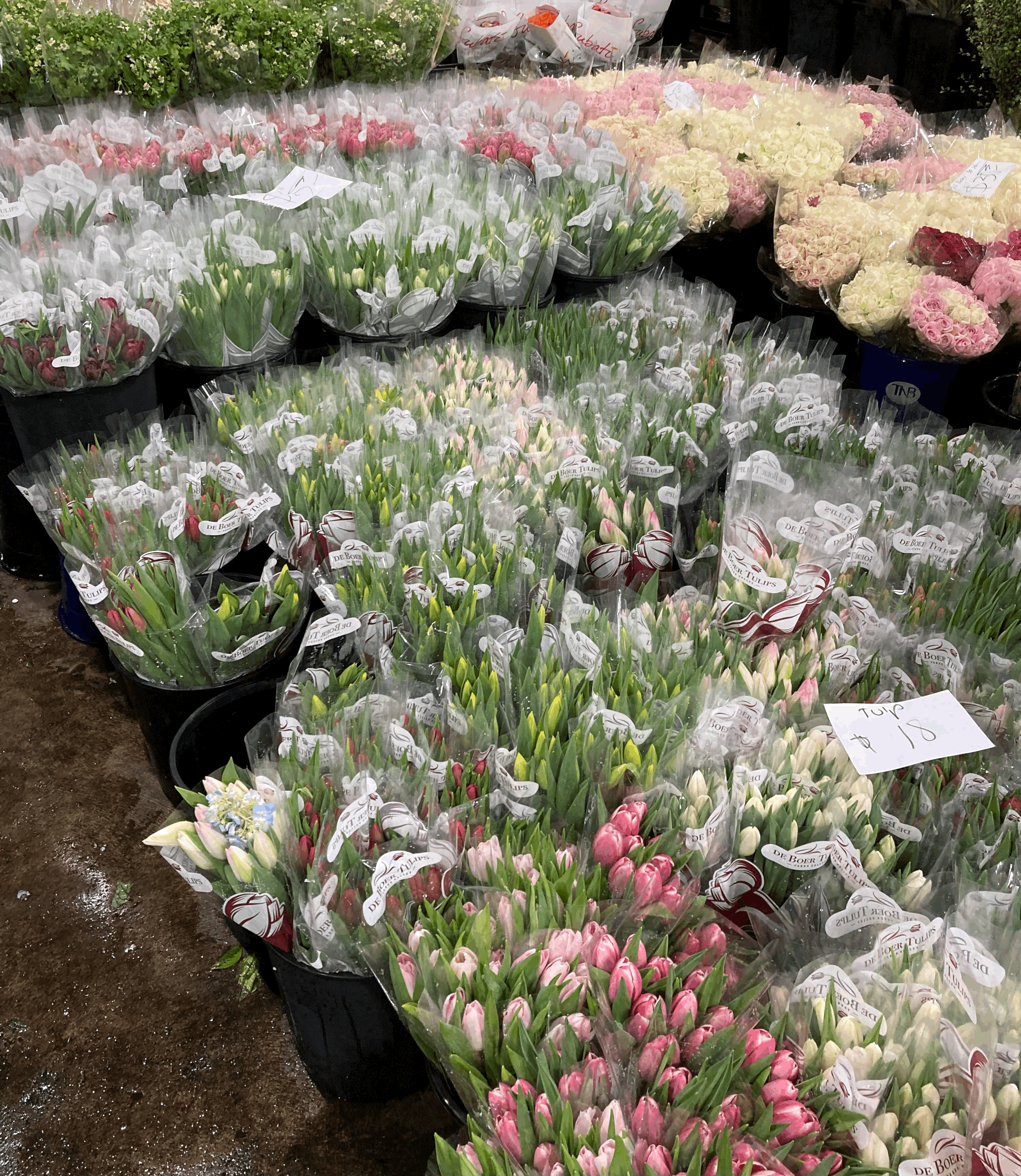 Webinar Series: Plastic Solutions for Cut Flower Growers
