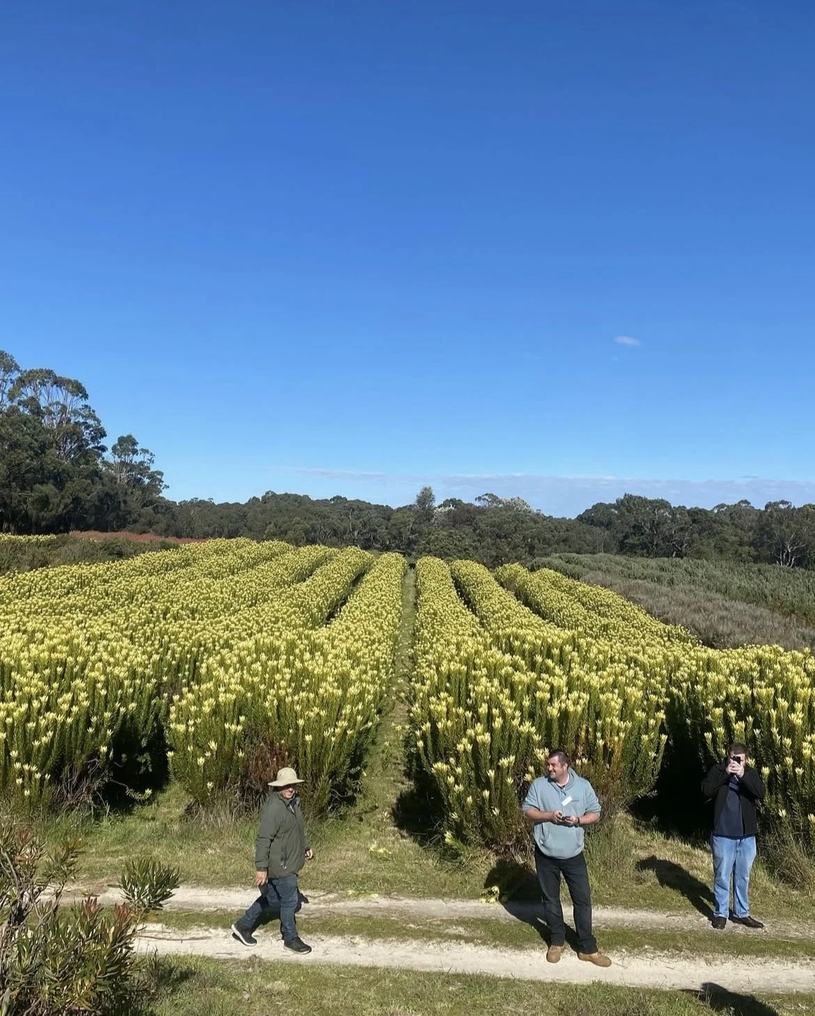 Pre- Conference Farm Tours