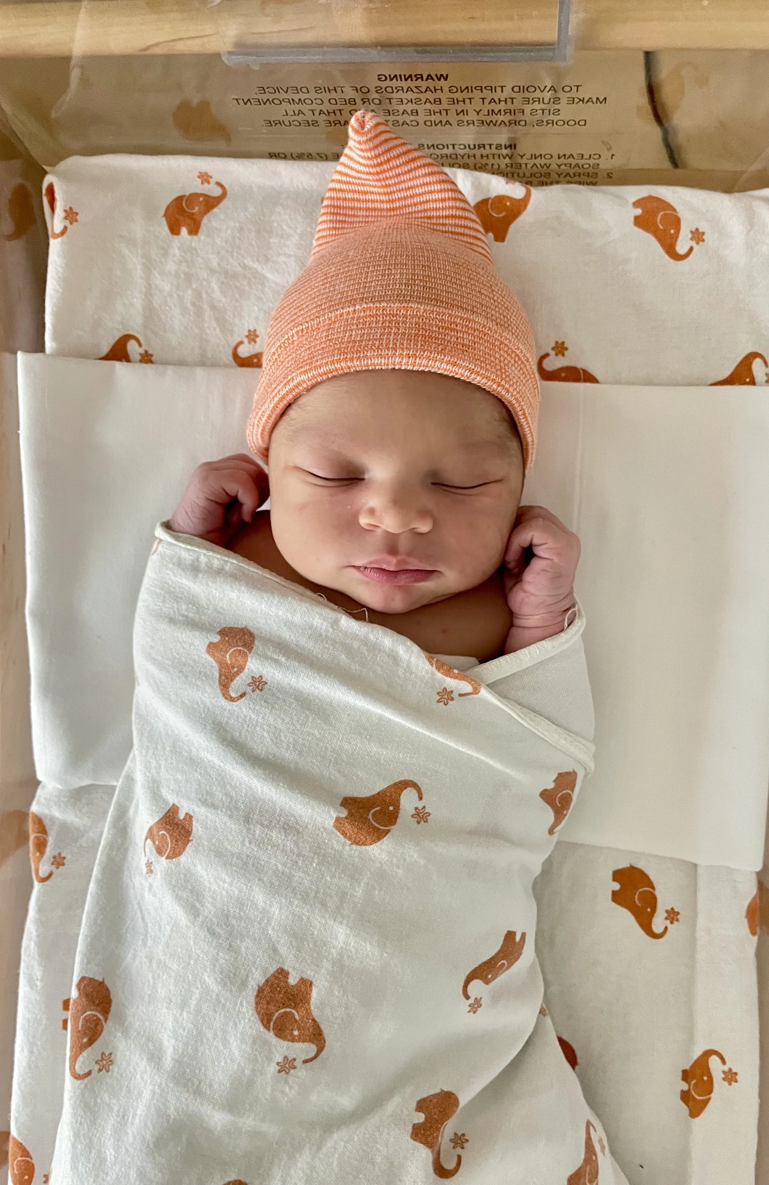 Close-up black and white photograph of a tiny infant's hand holding an adult's finger, soft focus, high contrast.