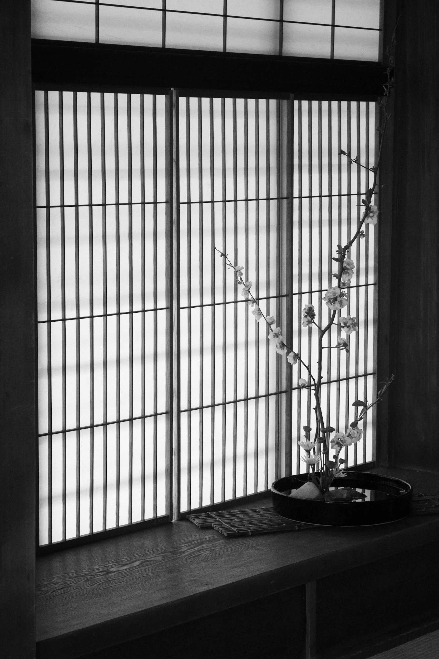 Black and white window with blossom tree
