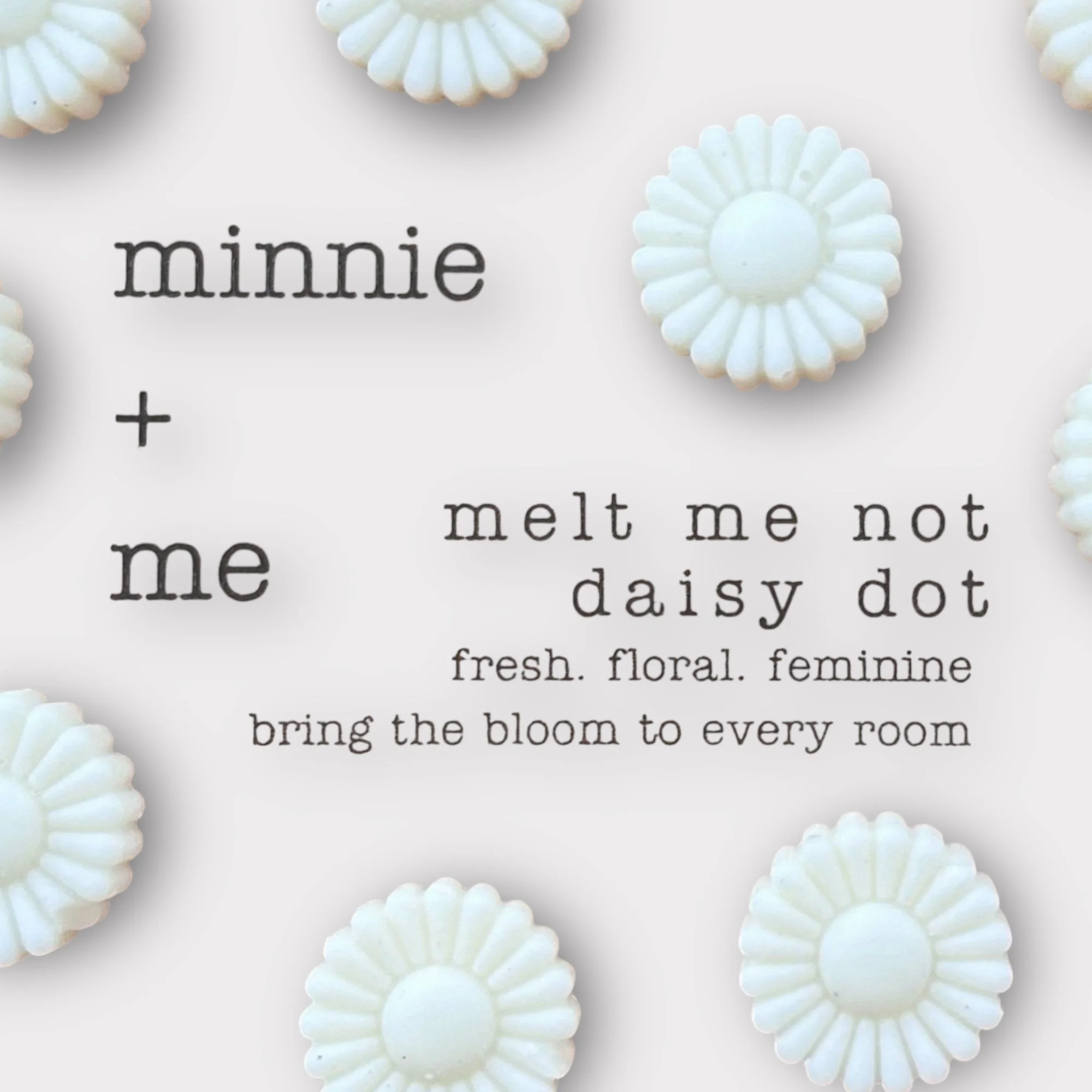 Melt Me Not, Daisy Dot – Daisy Fragrance Wax Melts