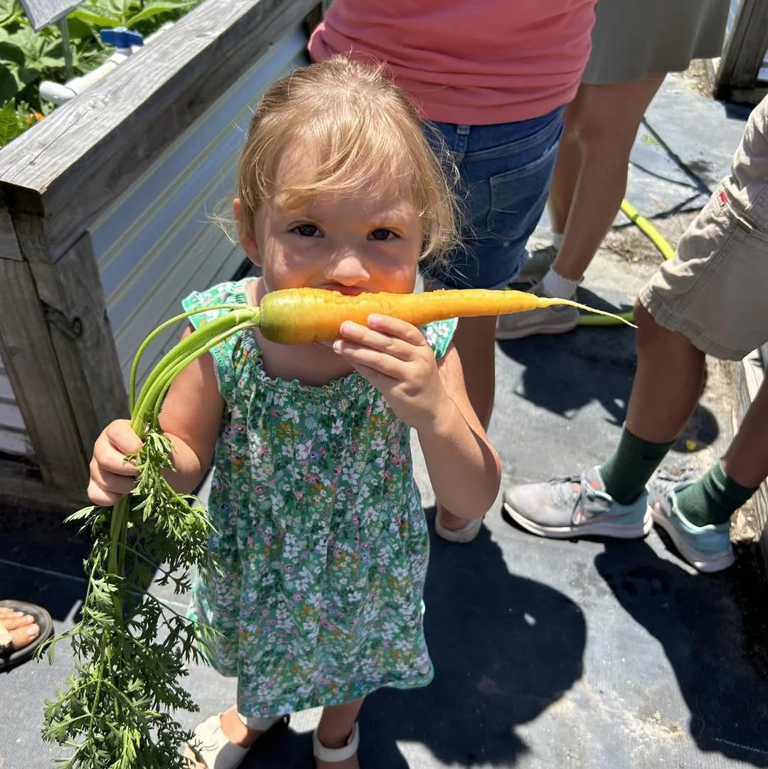 See below for a recipe inspired by our sustainability driven Giving Hope Garden Boxes that would go great as a spread for sandwiches or as a dip for veggies and proteins! ⬇️

Carrot Top Pesto 🥕

Ingredients

 &bull; Stems or greens from 2 bunches of