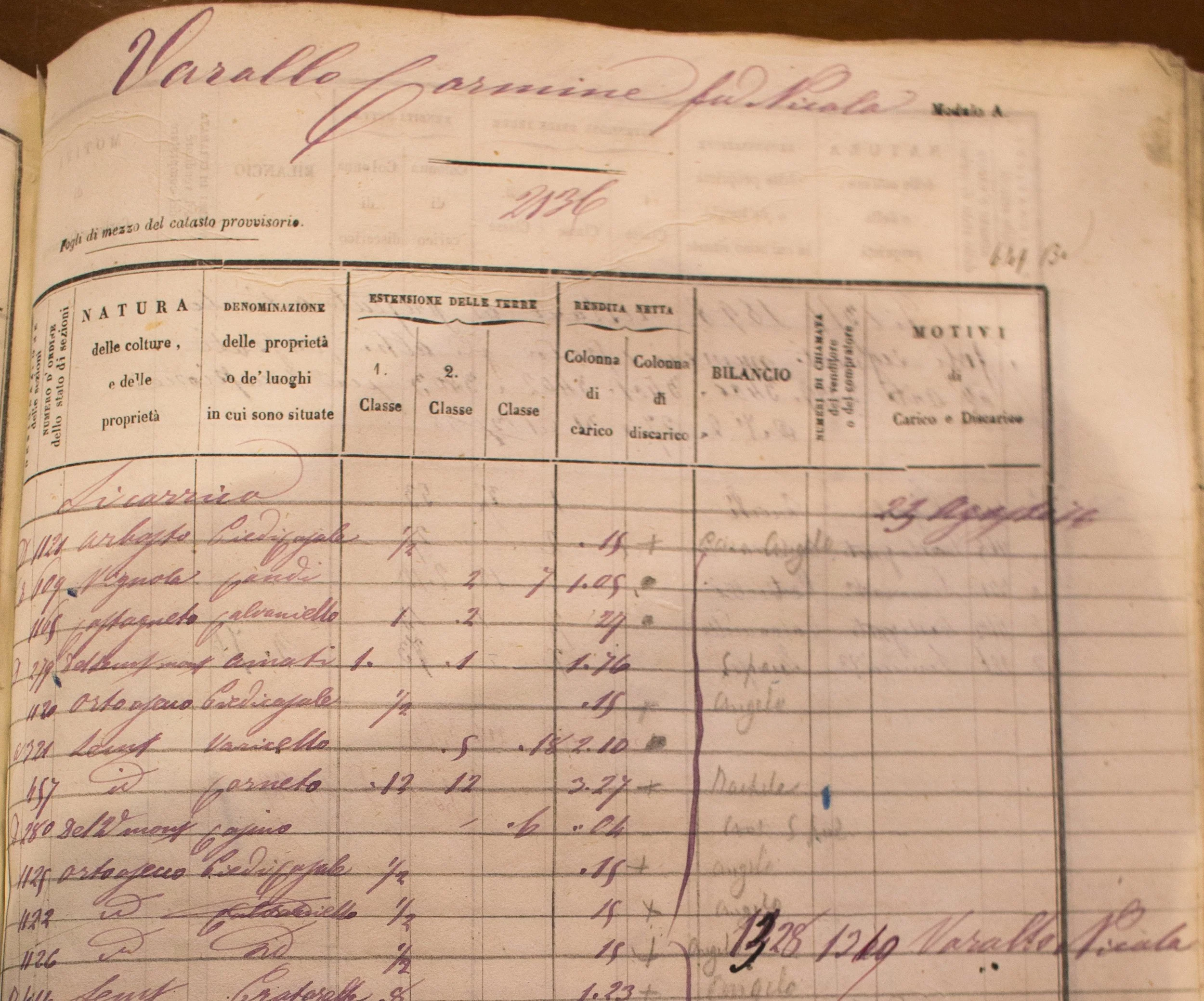 Catasto (Land register) of Carmine Varallo