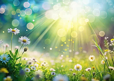 Meditation &amp; Yoga Nidra: Refresh &amp; Rest