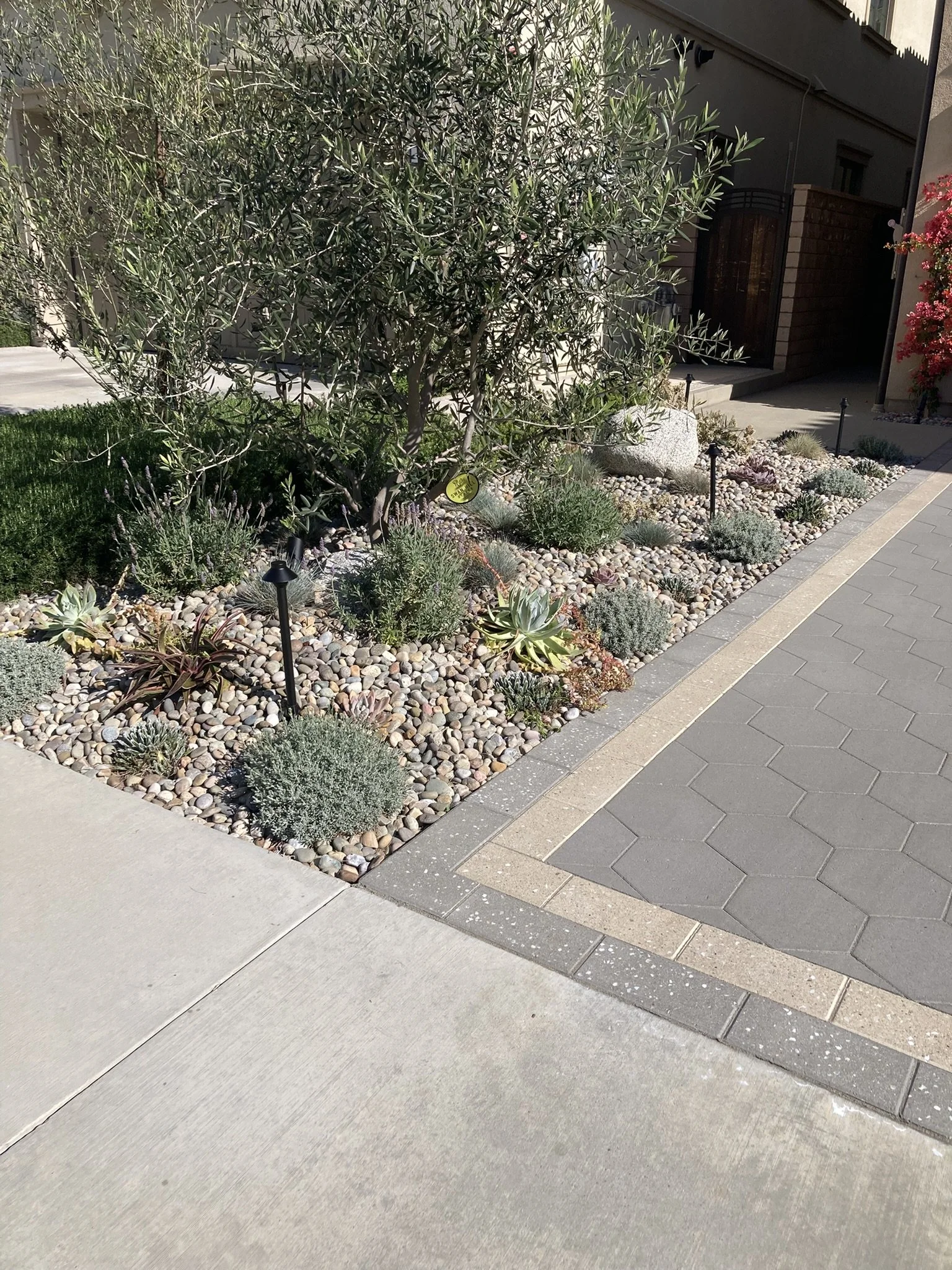 IMG_6825.JPEG