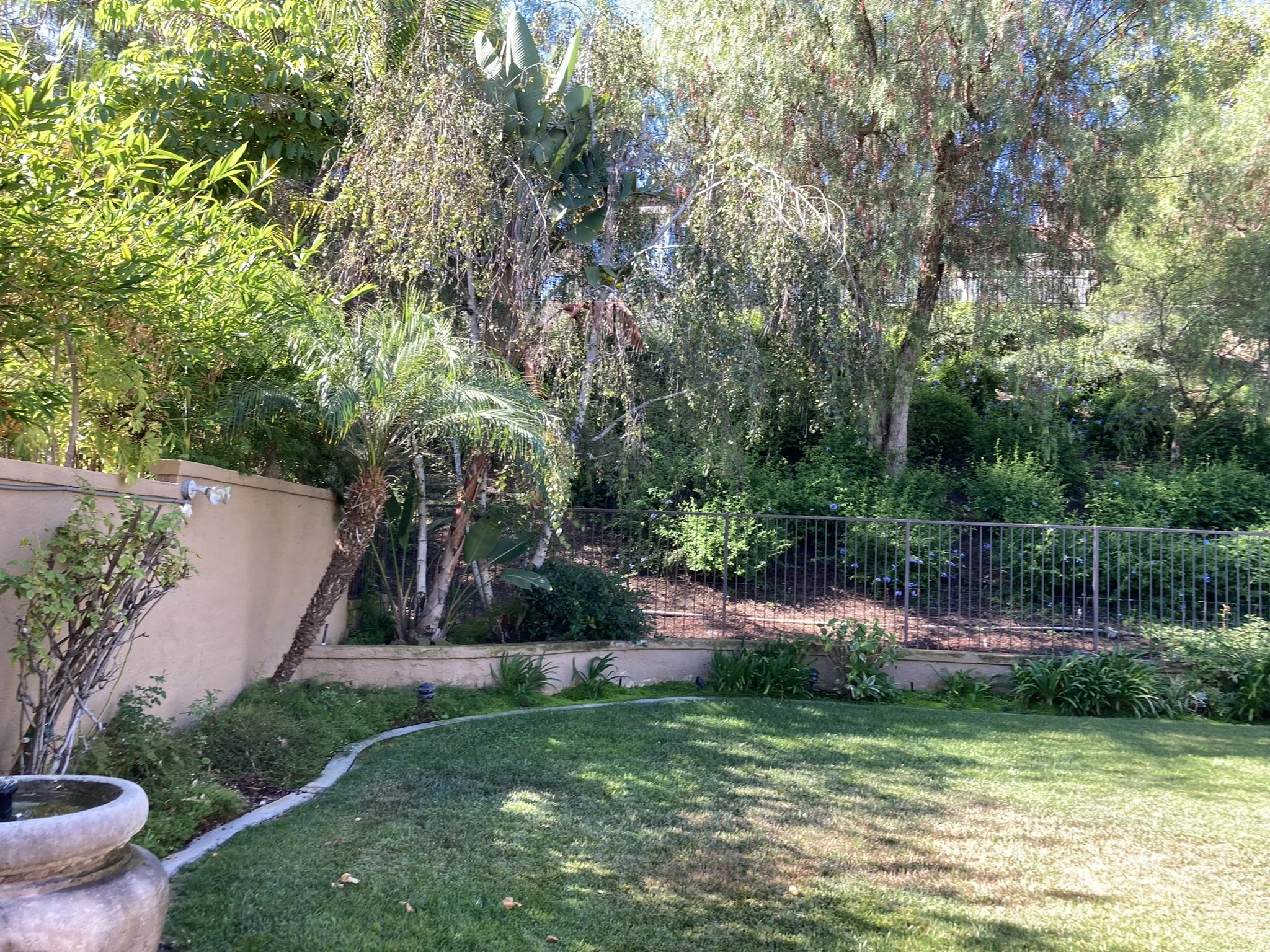 Before Photo - Backyard