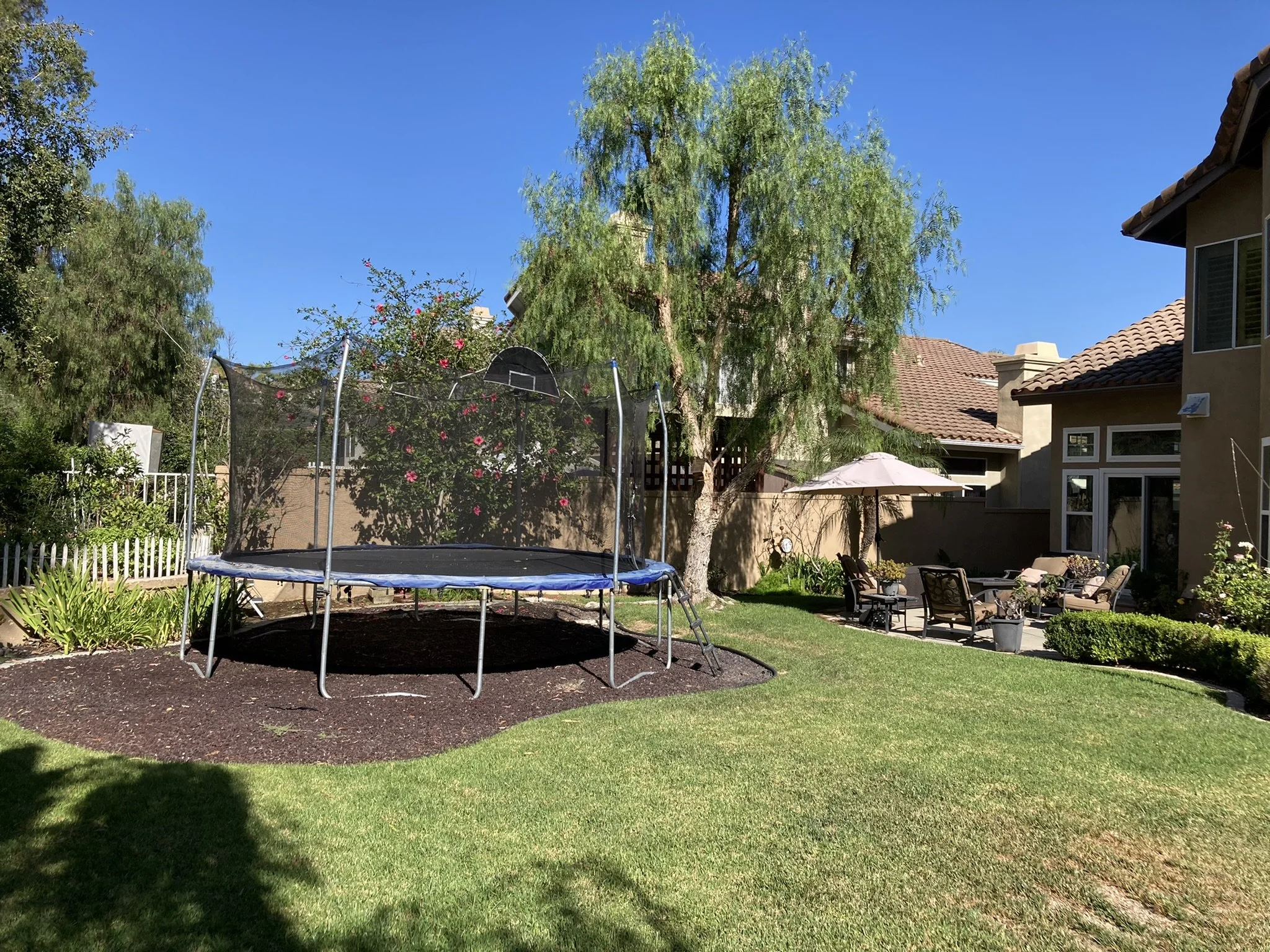 Before - Backyard Space