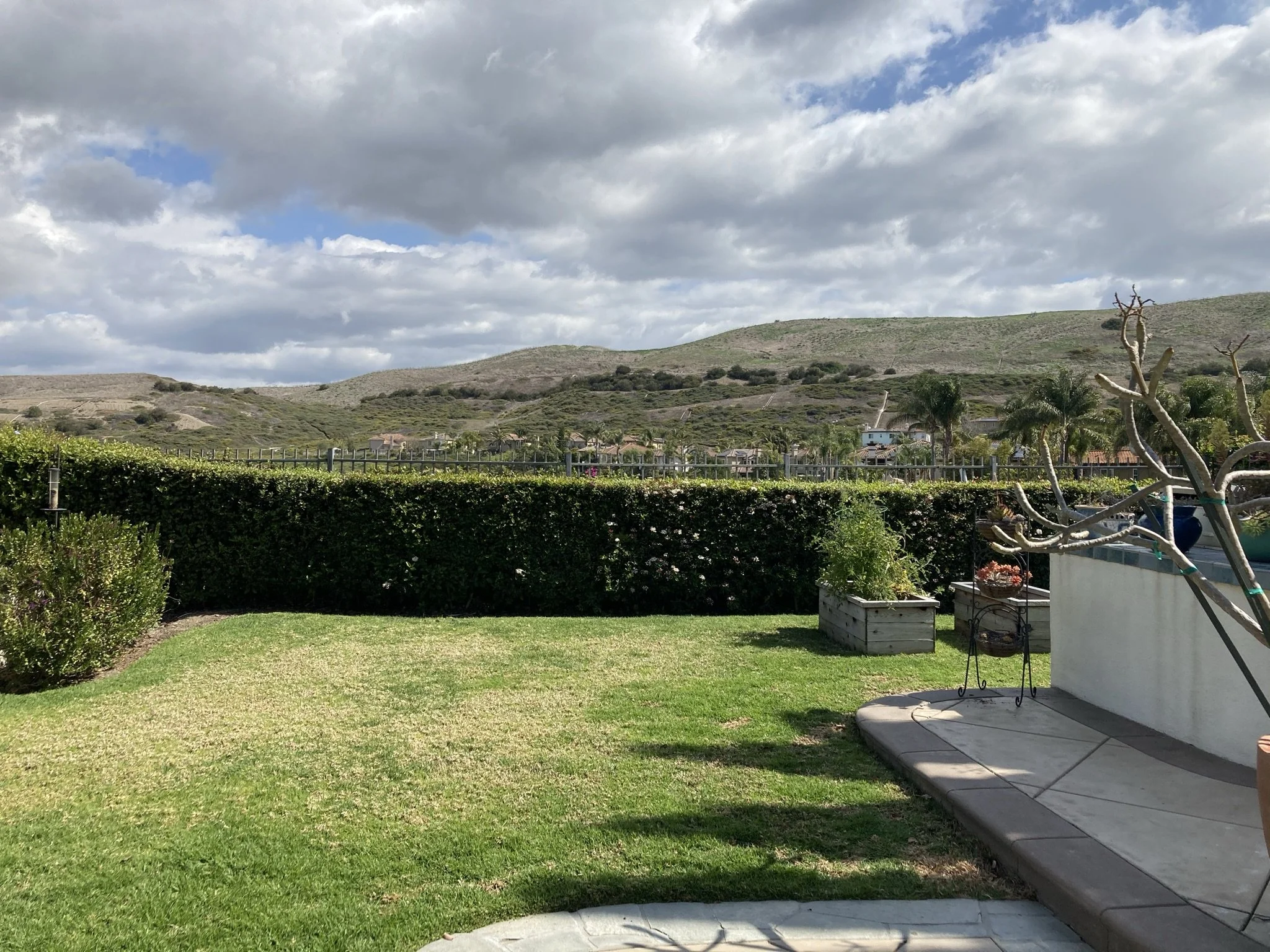 IMG_2774.JPEG