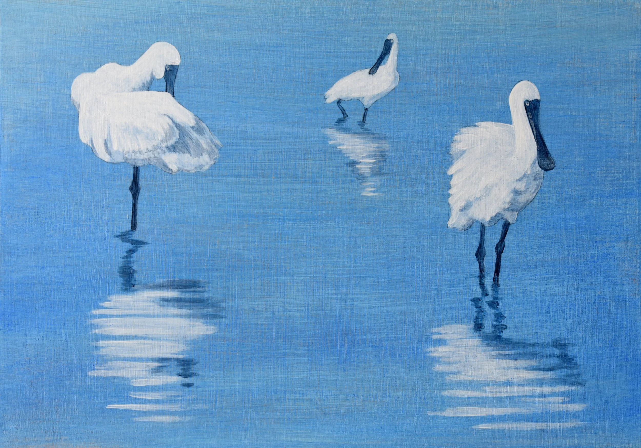 Royal Trio - Limited Edition Print