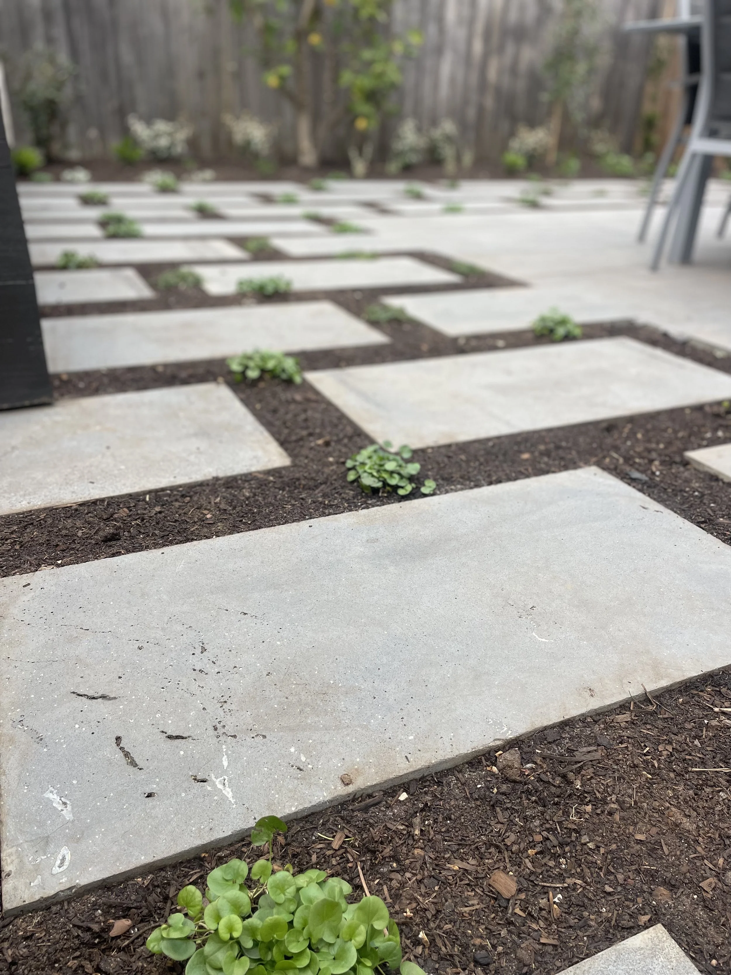 A backyard patio with modern stone pavers arranged in a grid pattern, separated by soil with small green plants growing between the stones, enclosed by a wooden fence.