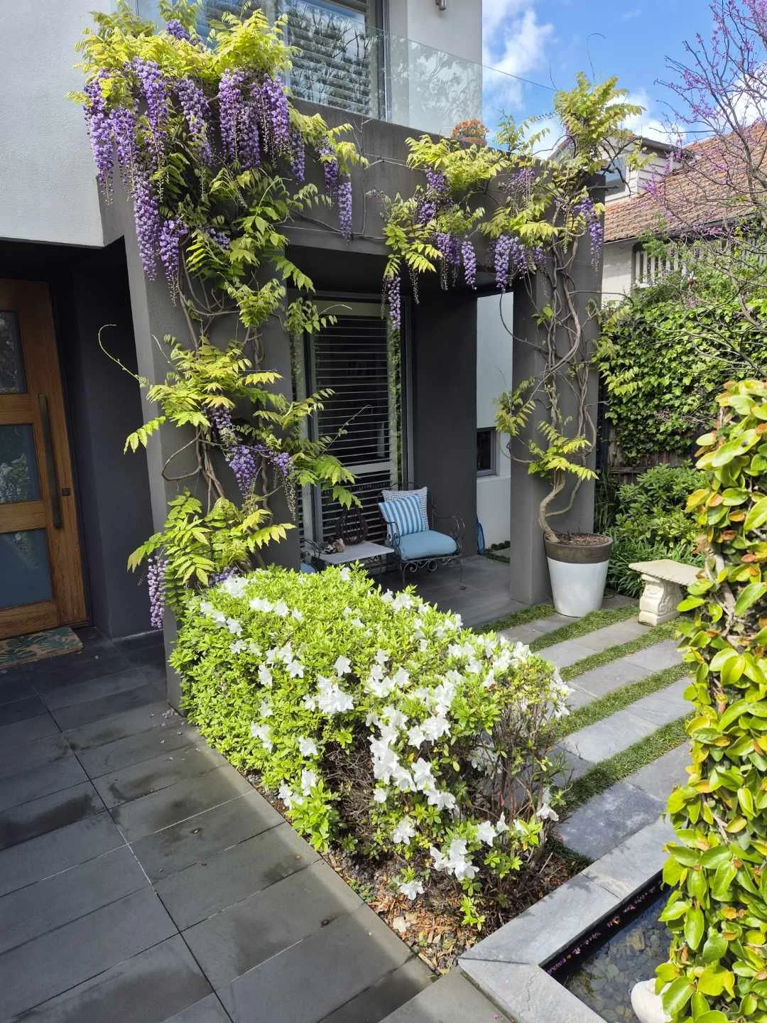 Front porch of a modern house with climbing purple wisteria and white azalea bushes, outdoor seating, potted plants, patterned tiles, and a gravel pathway.