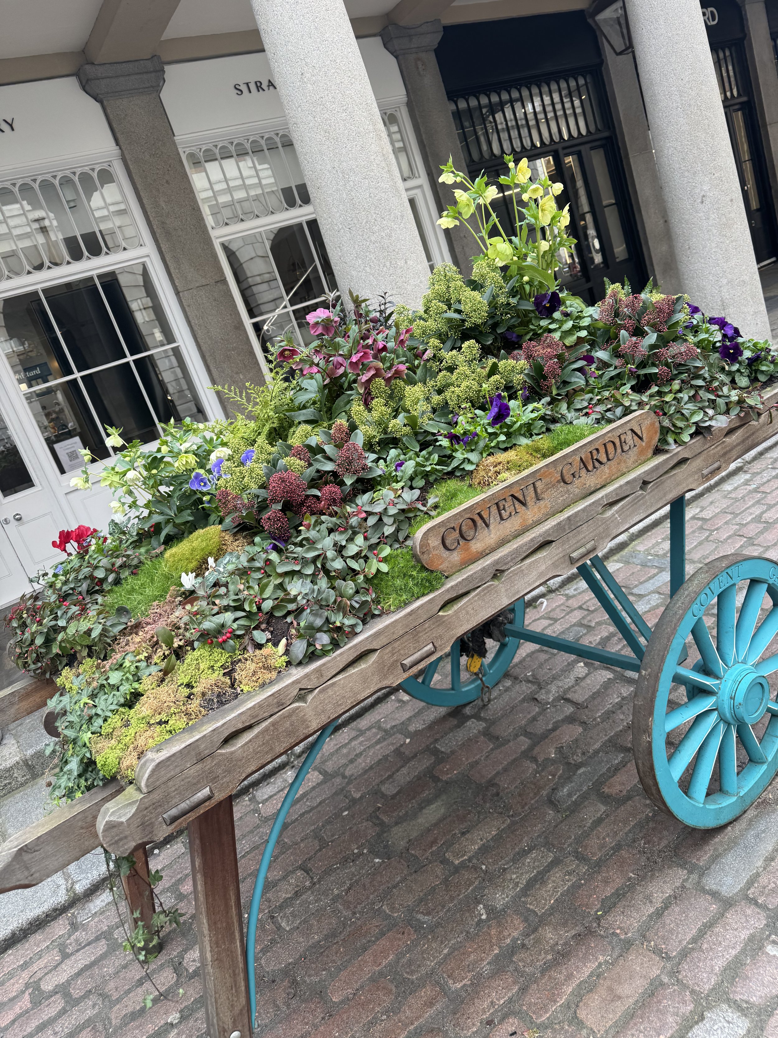 Friday Flowers Club #38~Floral Street