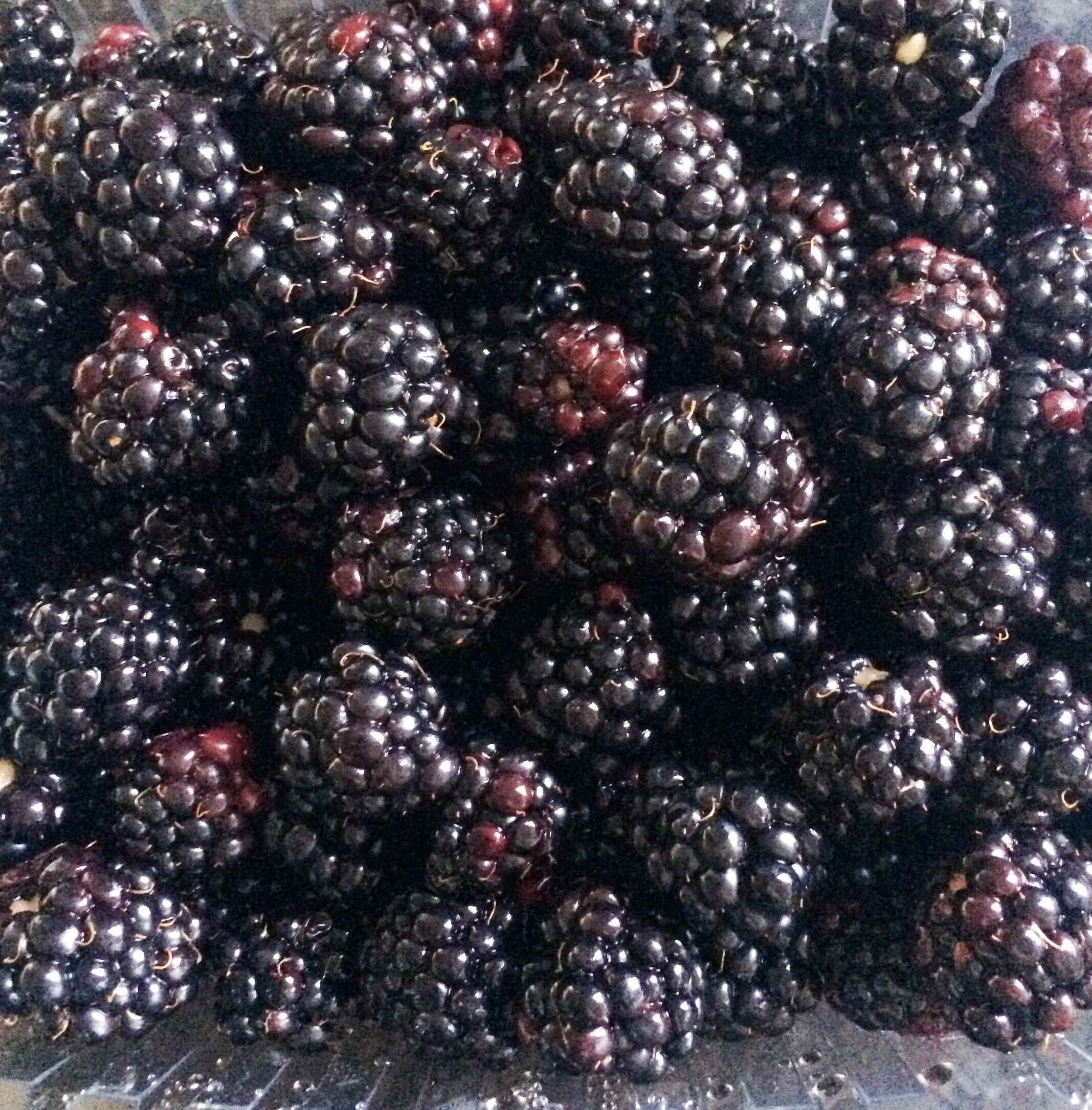 Friday Flowers Club #47~Berry Harvest