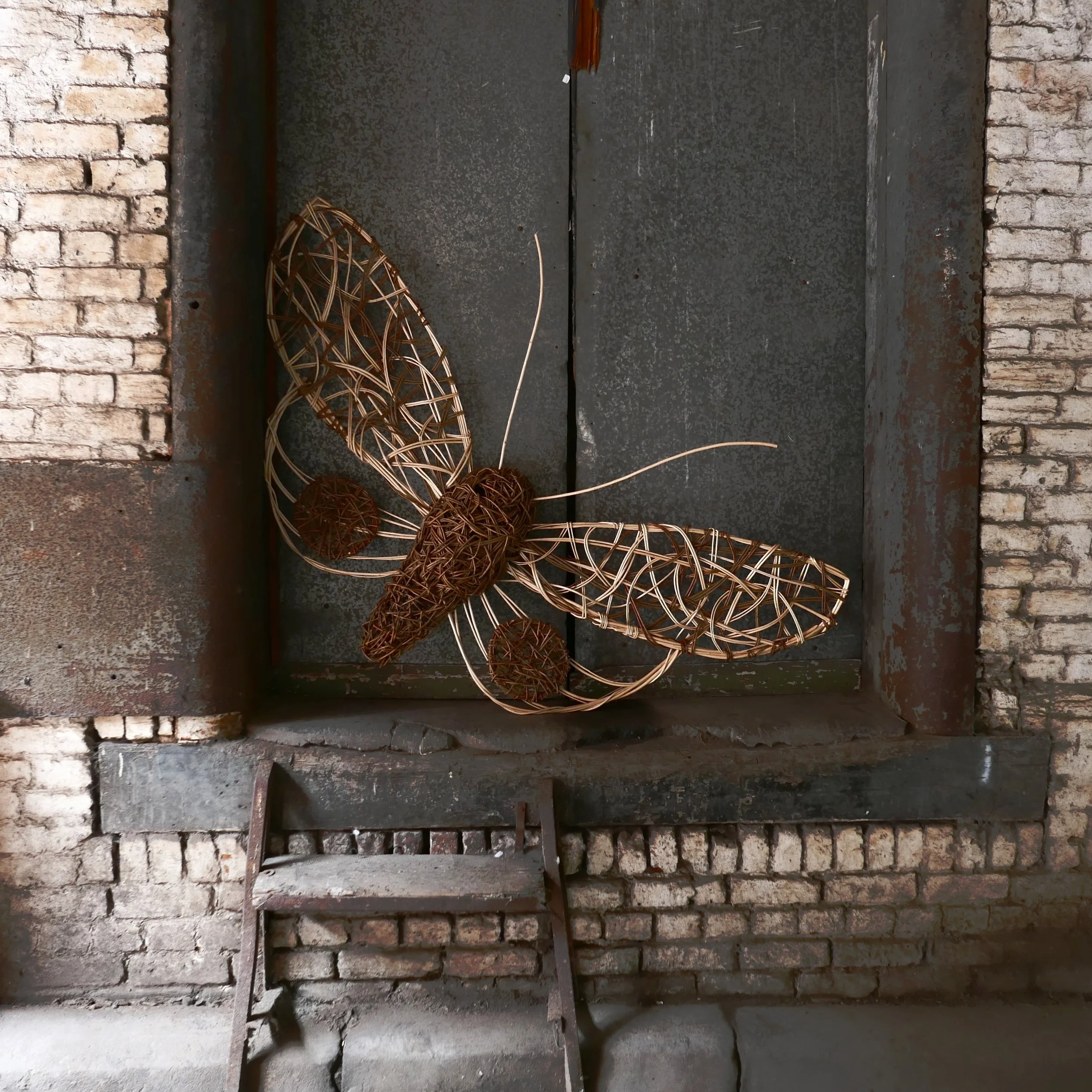 1-P1650777 - Copy.JPG