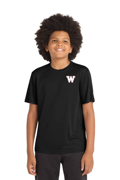 YST350 (1).png