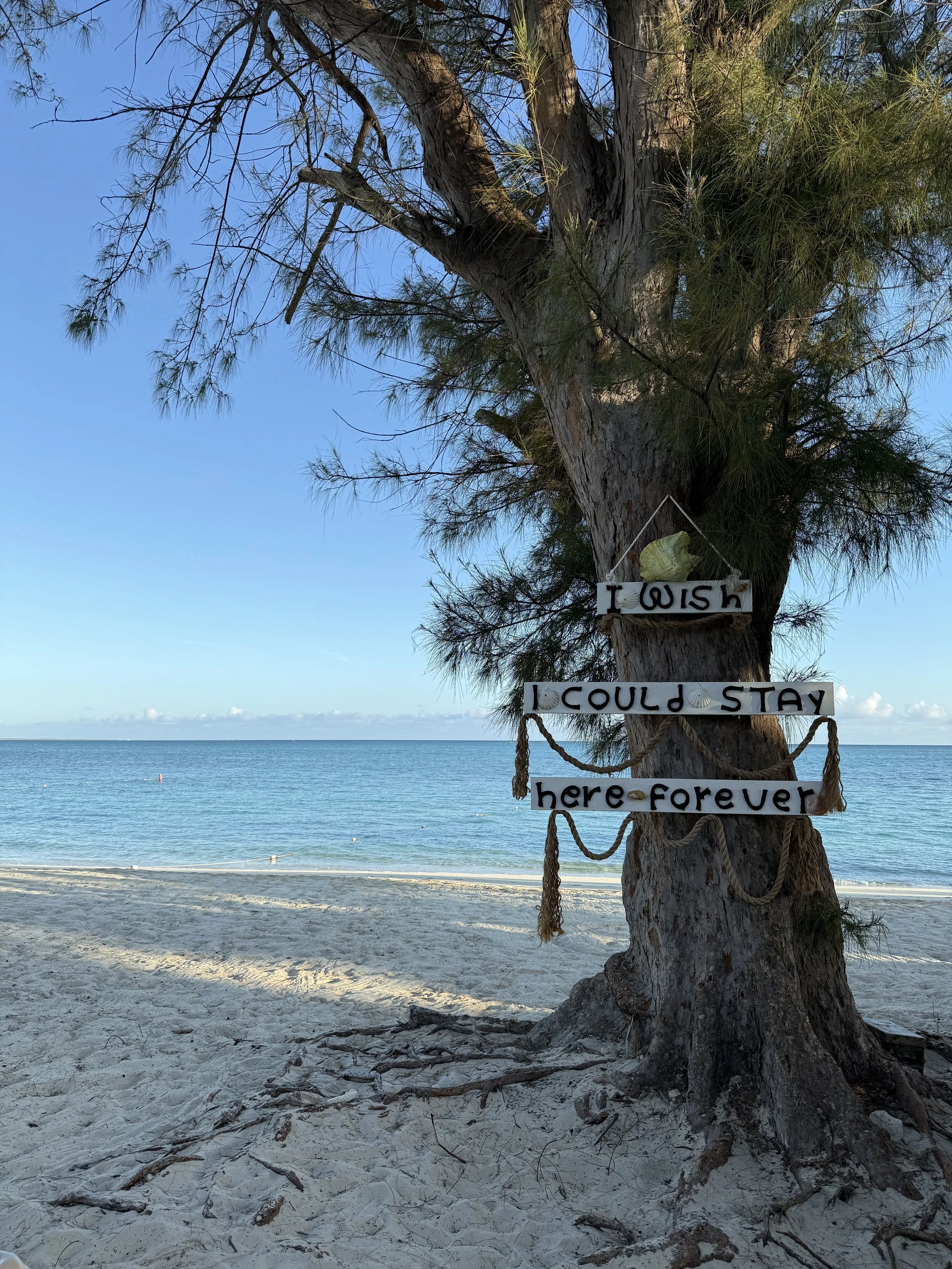Beaches Turks and Caicos on Grace Bay in Turks and Caicos with a view of the ocean and the sign, I wish I could stay here forever.