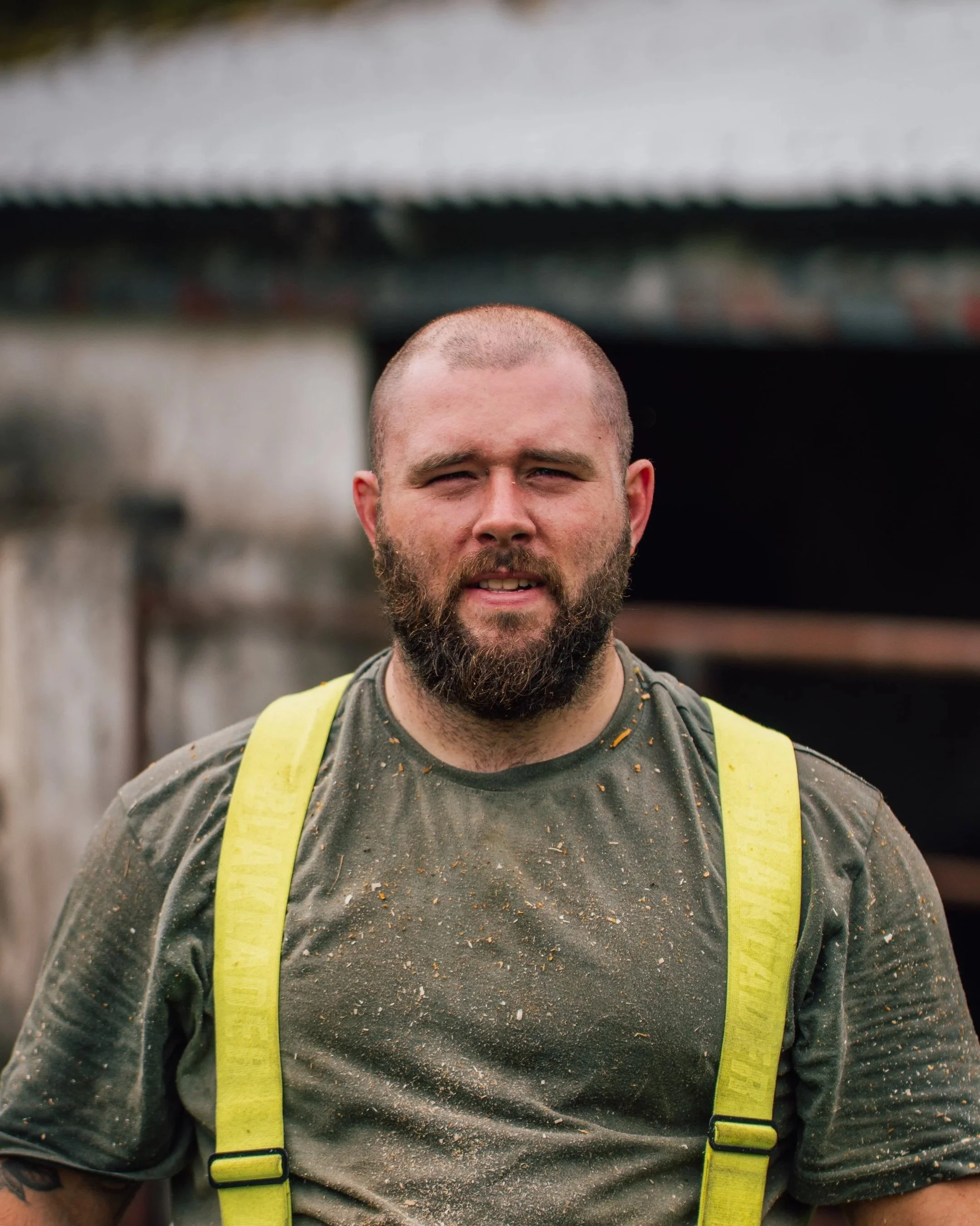 Seamus Hogan tree surgeon