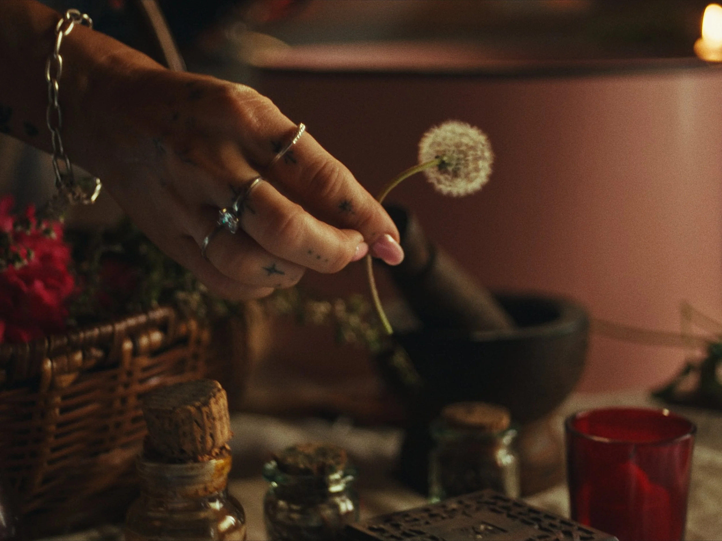 Still 2026-01-30 185442_1.5.5.jpg