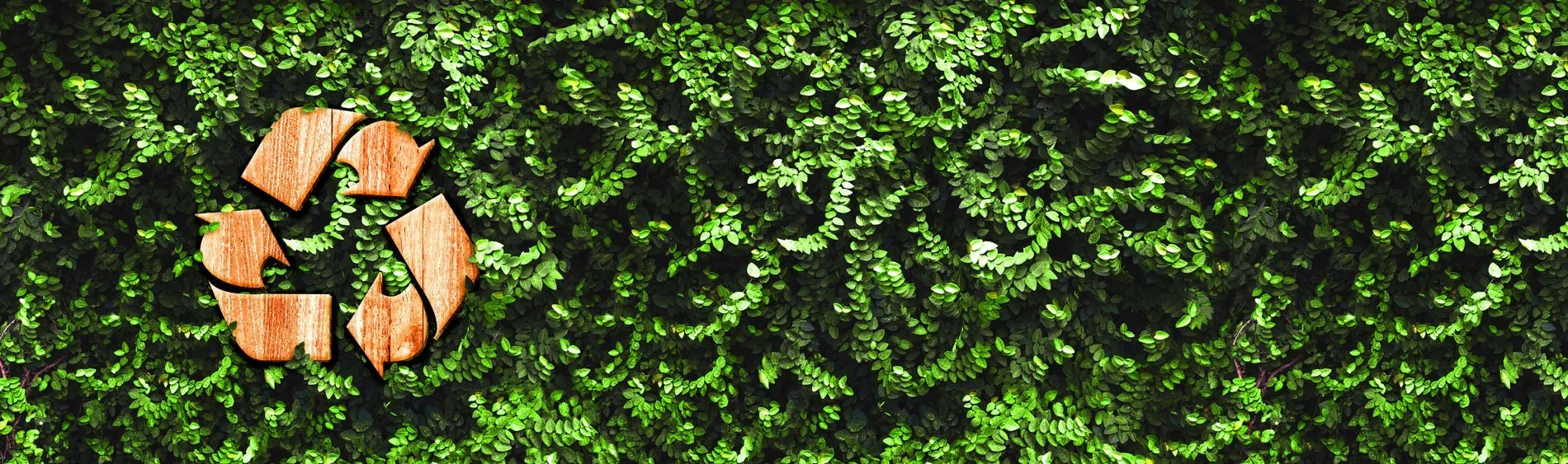 The Ultimate Guide to Sustainable Cannabis Packaging
