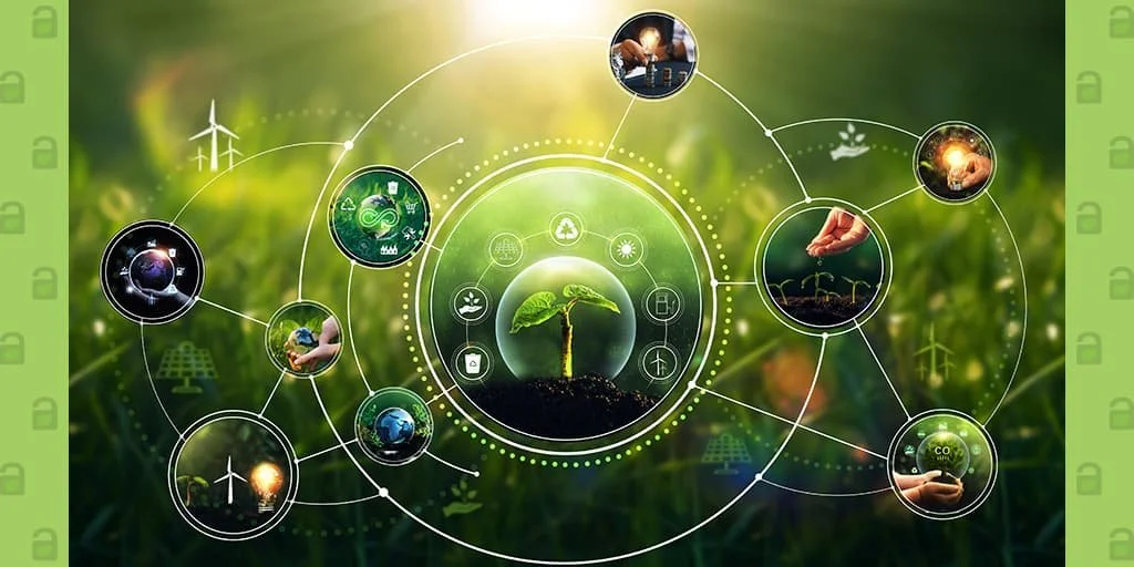 Busting the Myths of Sustainable Packaging