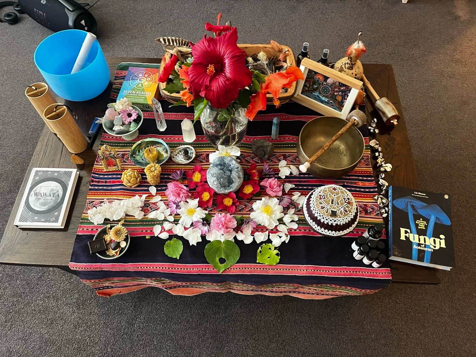 New Psilocybin-Assisted Therapy Service Launches for End-of-Life Distress