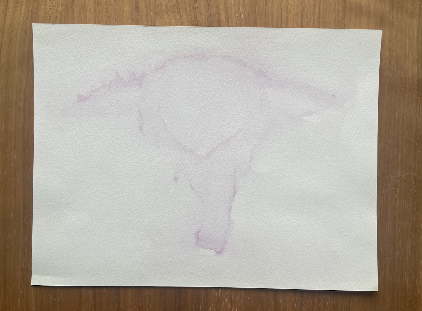 Screen Shot 2024-03-29 at 4.46.55 PM.png