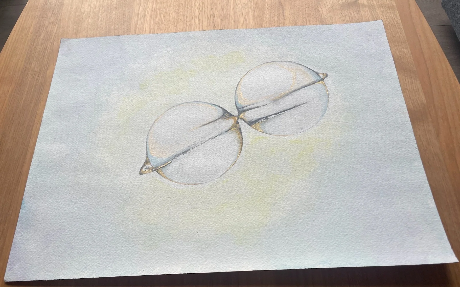 Screen Shot 2024-03-29 at 4.45.57 PM.jpg