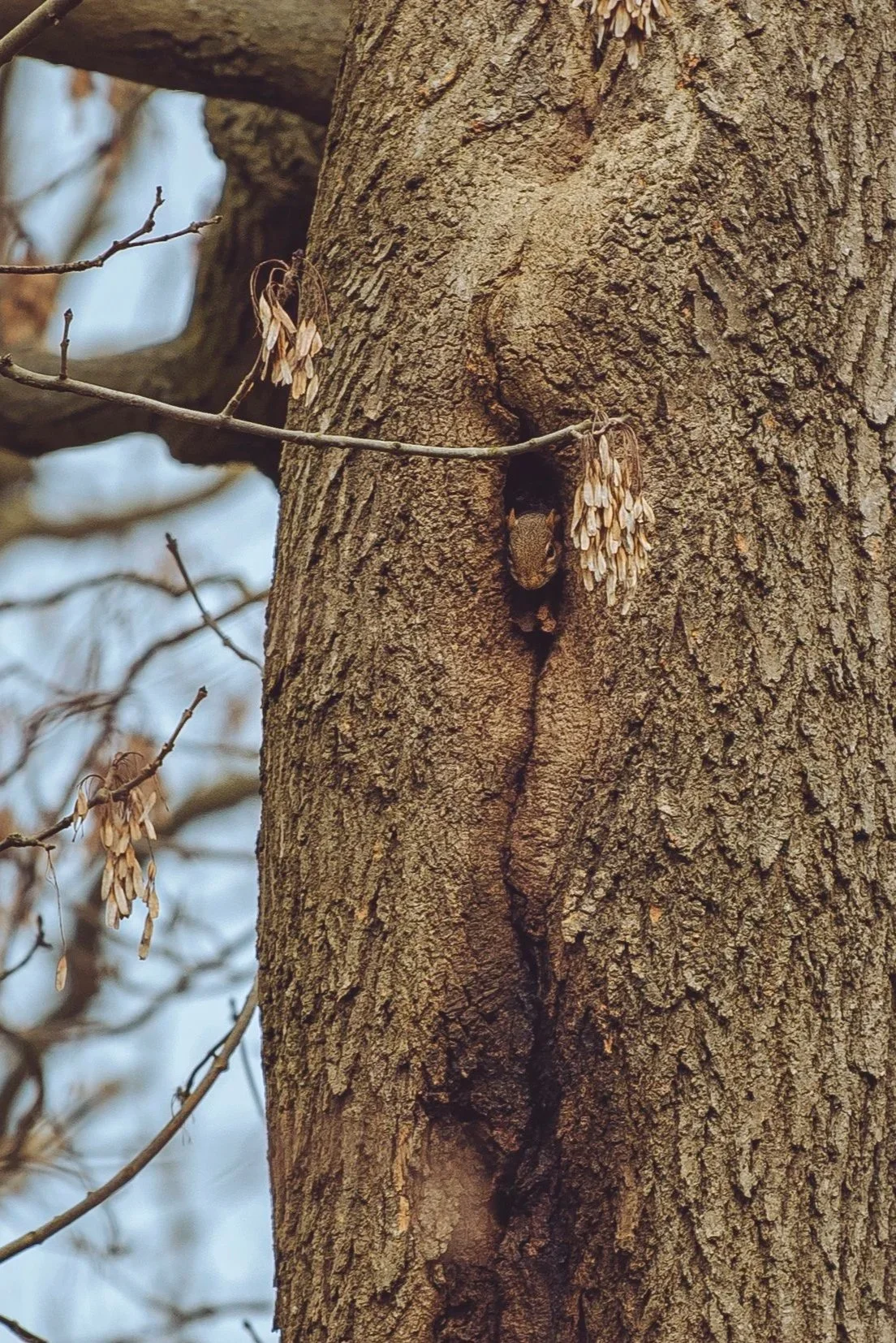DSC_5263.jpg