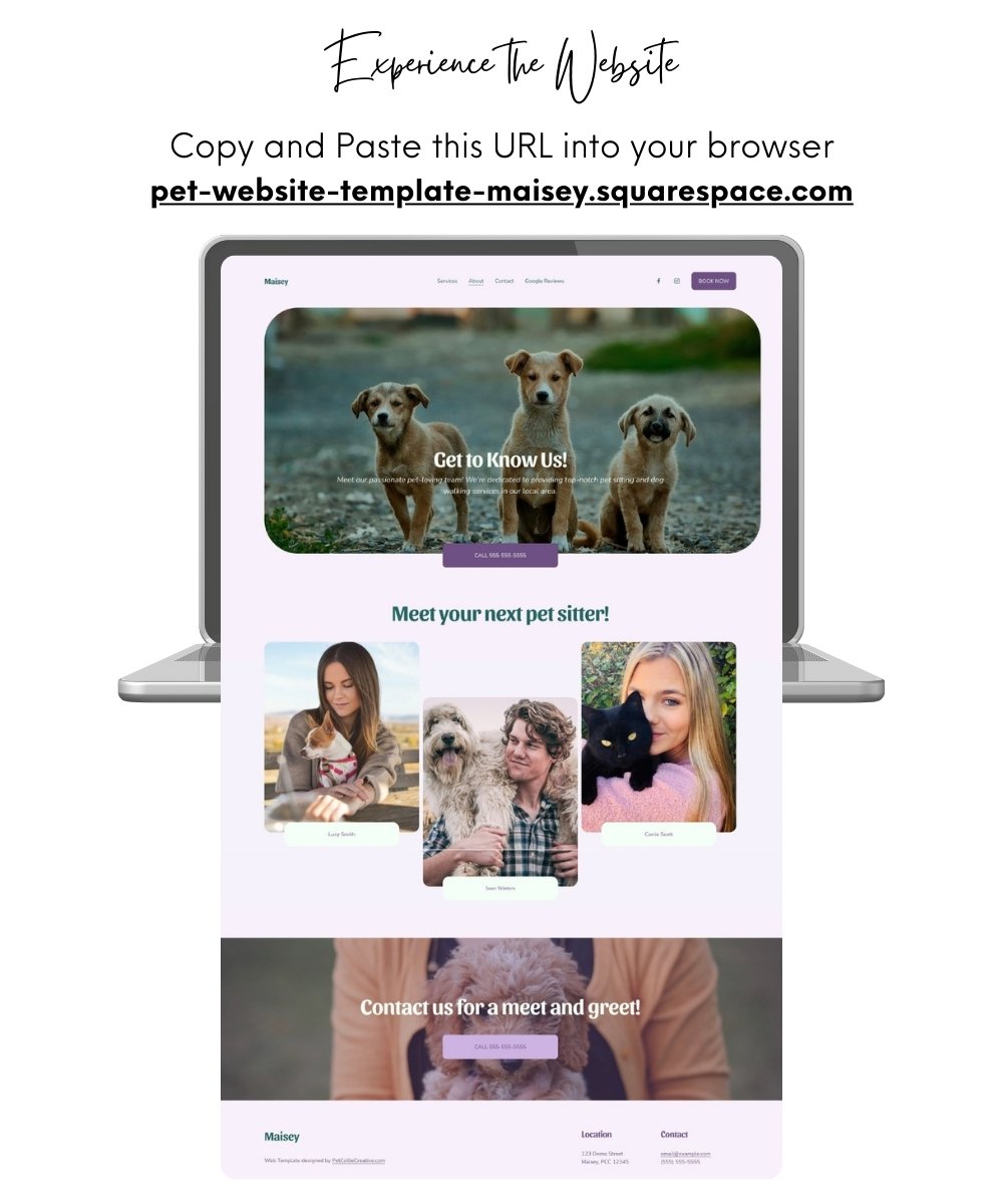 pet-collie-creative-website-template-squarespace-service-business.jpg