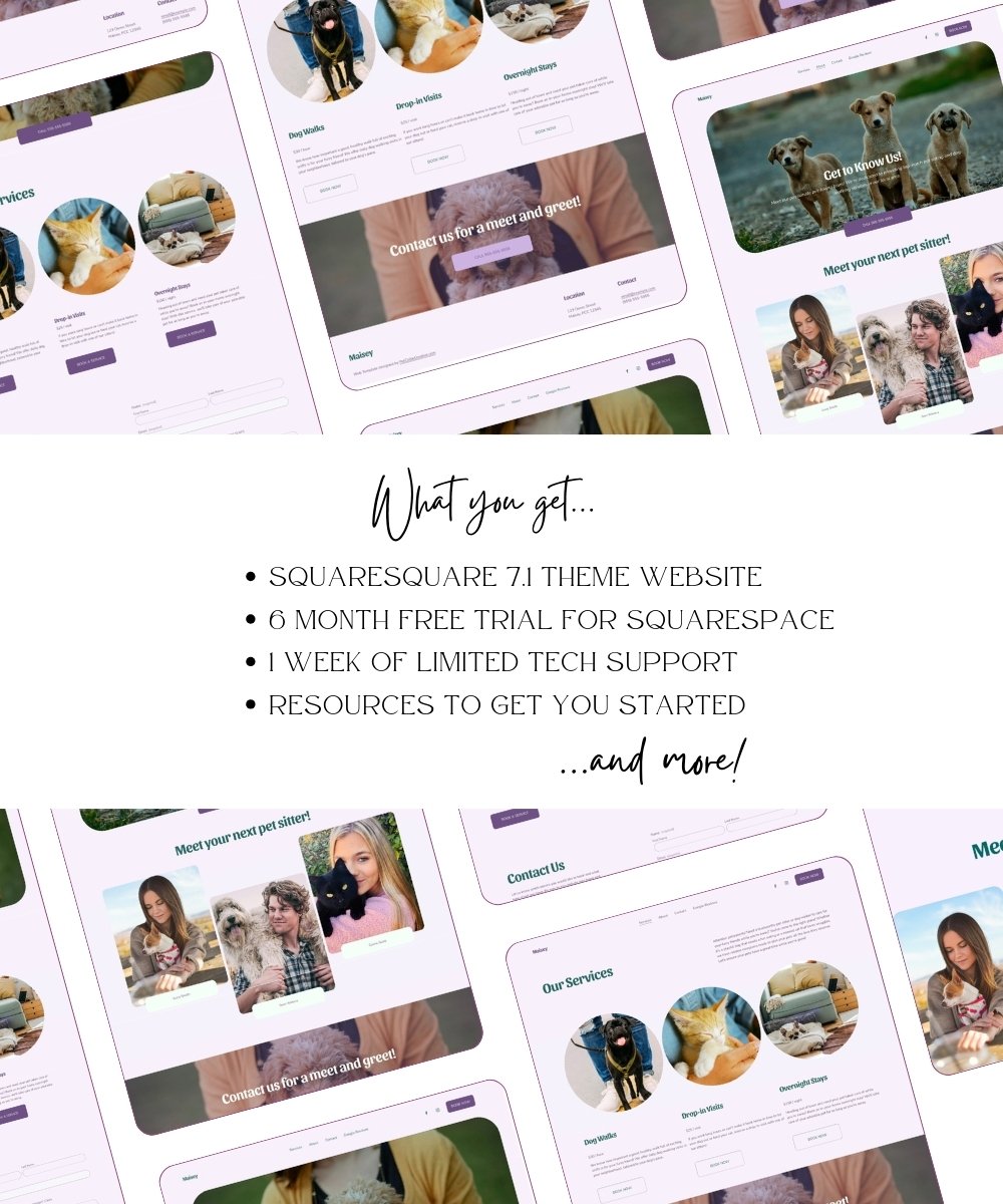 website-template-pet-collie-creative-squarespace.jpg