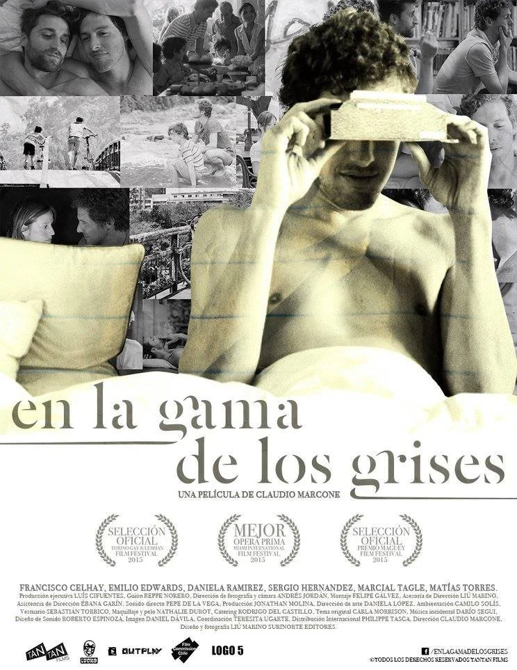 en la gama de los grises poster.jpeg