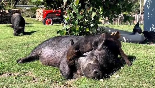 Grandpa at the Scone Shack in Cape Town&nbsp;First Transmission