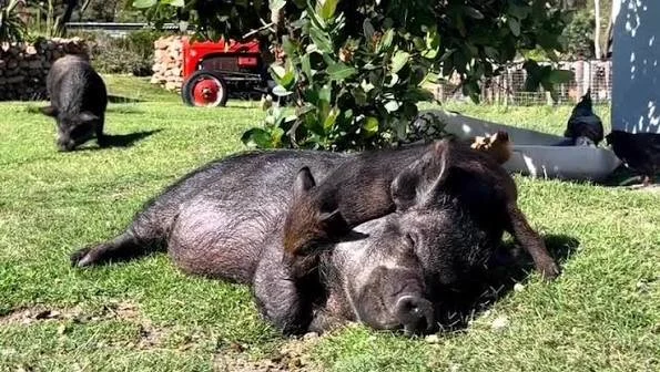 Grandpa at the Scone Shack in Cape Town&nbsp;