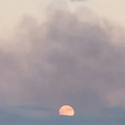 Womb Space Devotional with Skye Rose </span>