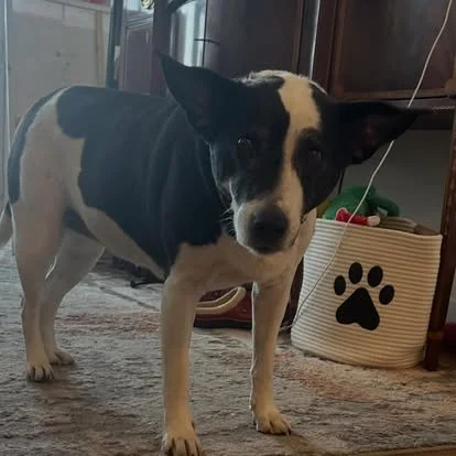 Taz Time I’m a natural psychic, I got it from my momma Dom!&nbsp;