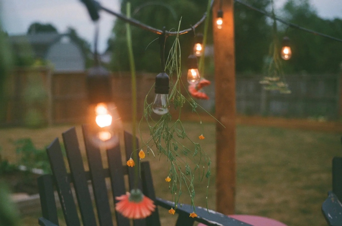 Light at dusk in summer