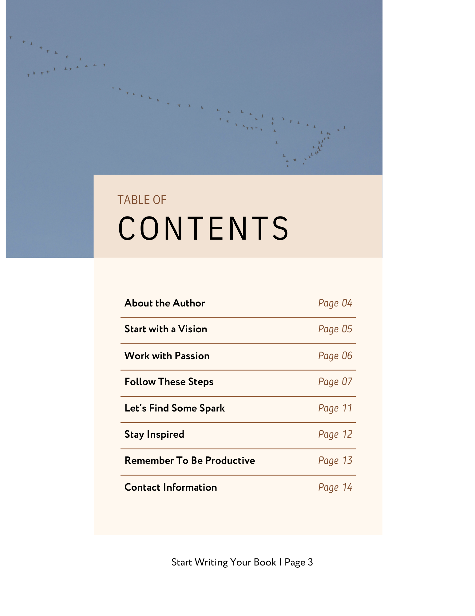 Table of contents.png