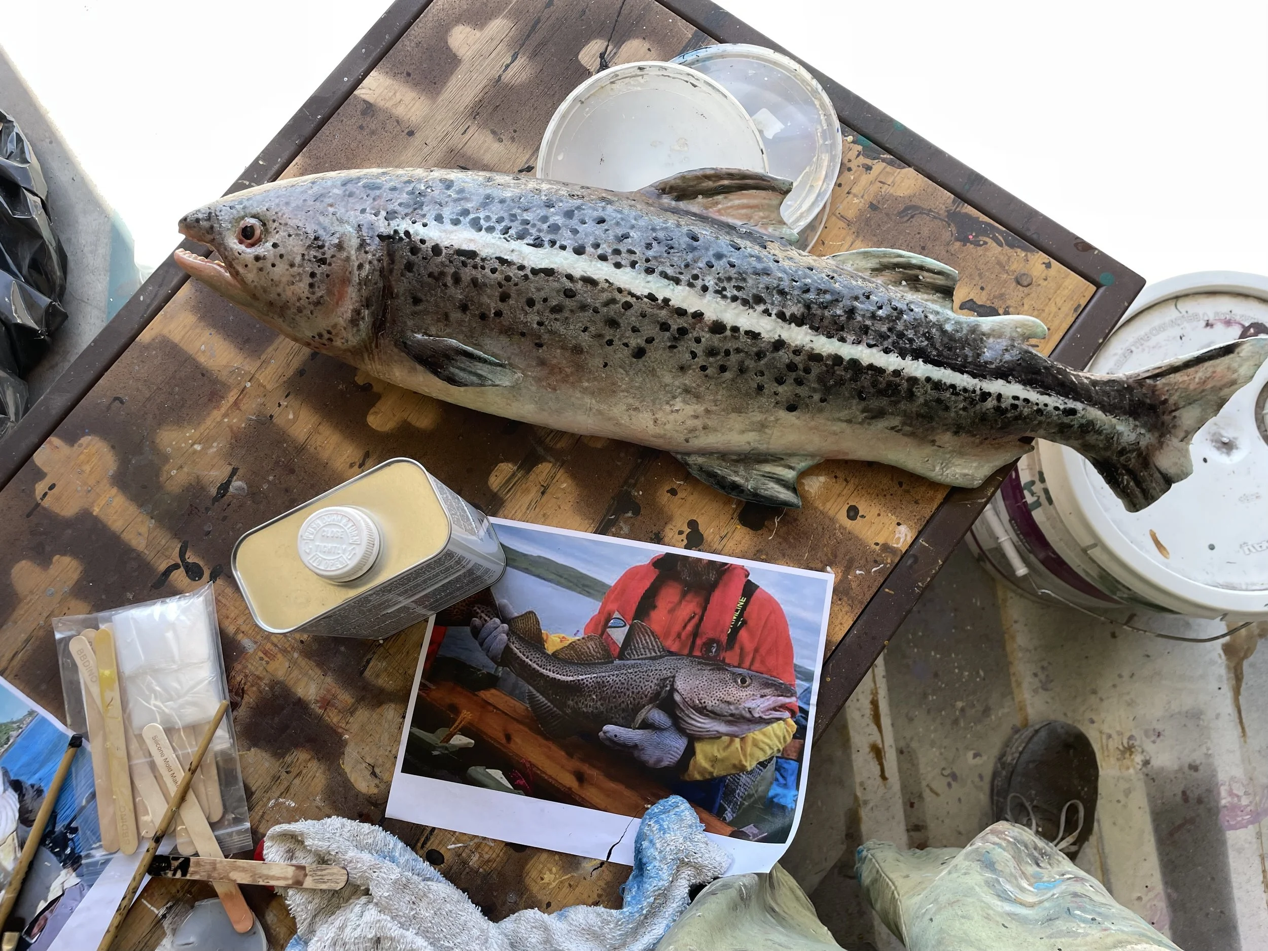 Atlantic Cod Hero Prop, Molded by Matt Brown, painted with silicone by Emorie Mansur
