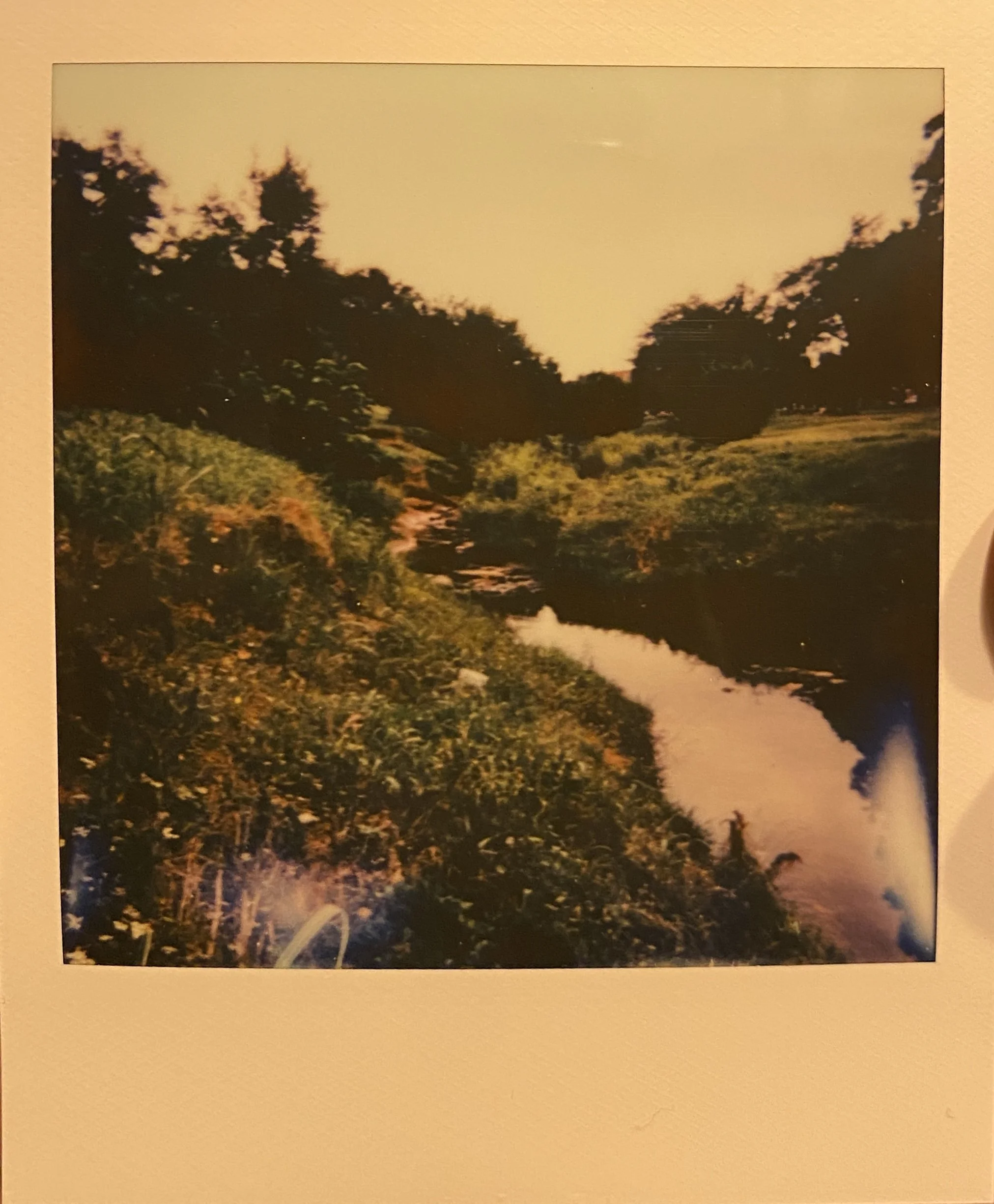 Polaroid of Edgemere Nature Reserve