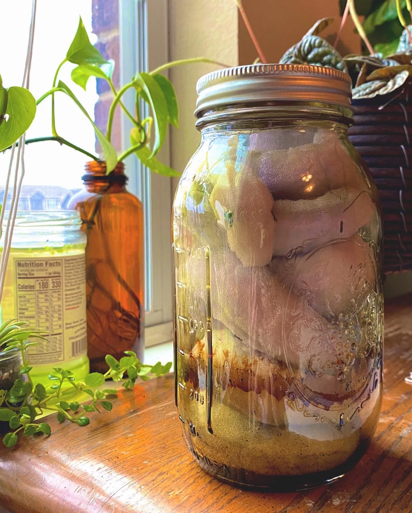 "Preserved Snake Specimen" Upholstery Foam and Alcohol Ink in Mason Jar