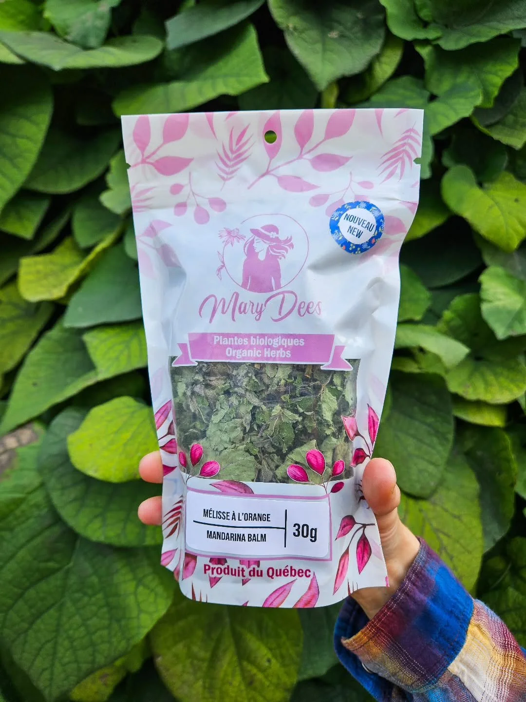 Nous sommes ravis d'annoncer l'arriv&eacute;e d'une nouvelle herbe : la m&eacute;lisse &agrave; l'orange ! 

Elle poss&egrave;de les m&ecirc;mes propri&eacute;t&eacute;s que la m&eacute;lisse, avec une saveur d'orange douce et agr&eacute;able&nbsp;; 