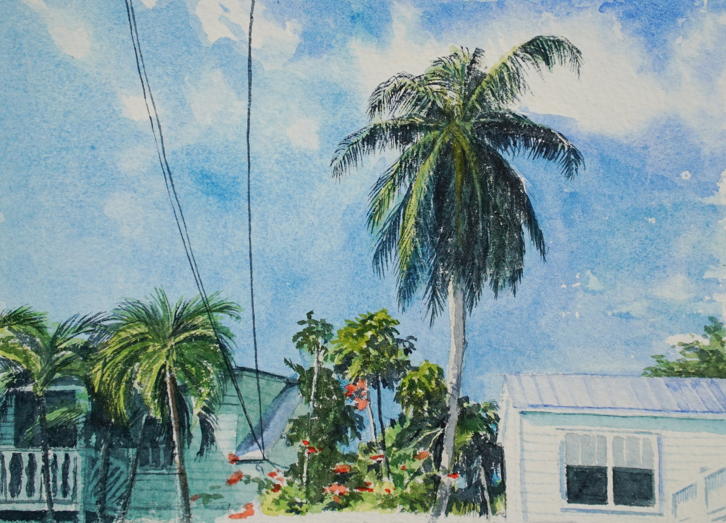Key West Palm.jpg