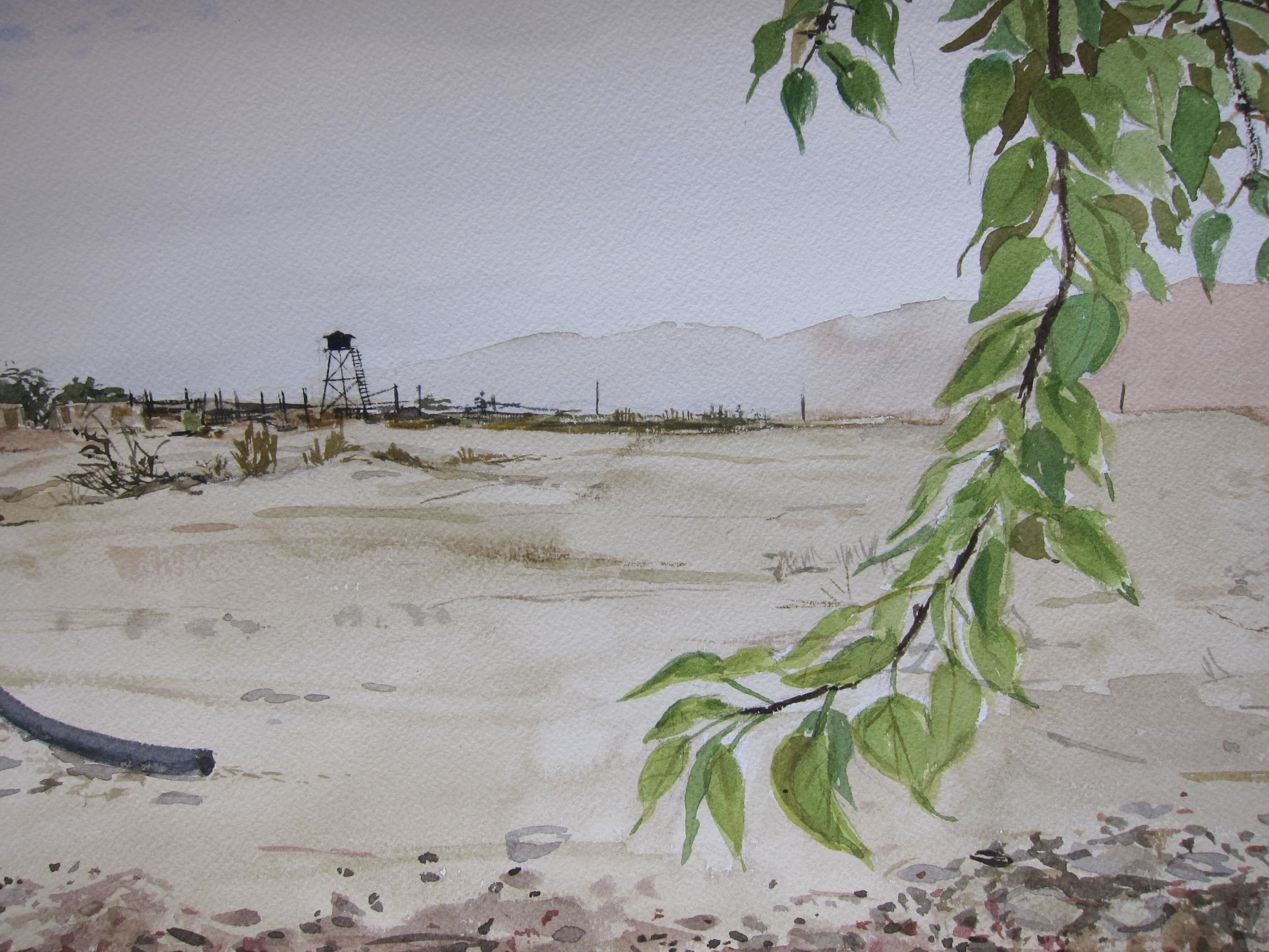 <i>Kibbutz Lotan</i>, 11 x 15", watercolor on paper, 2012