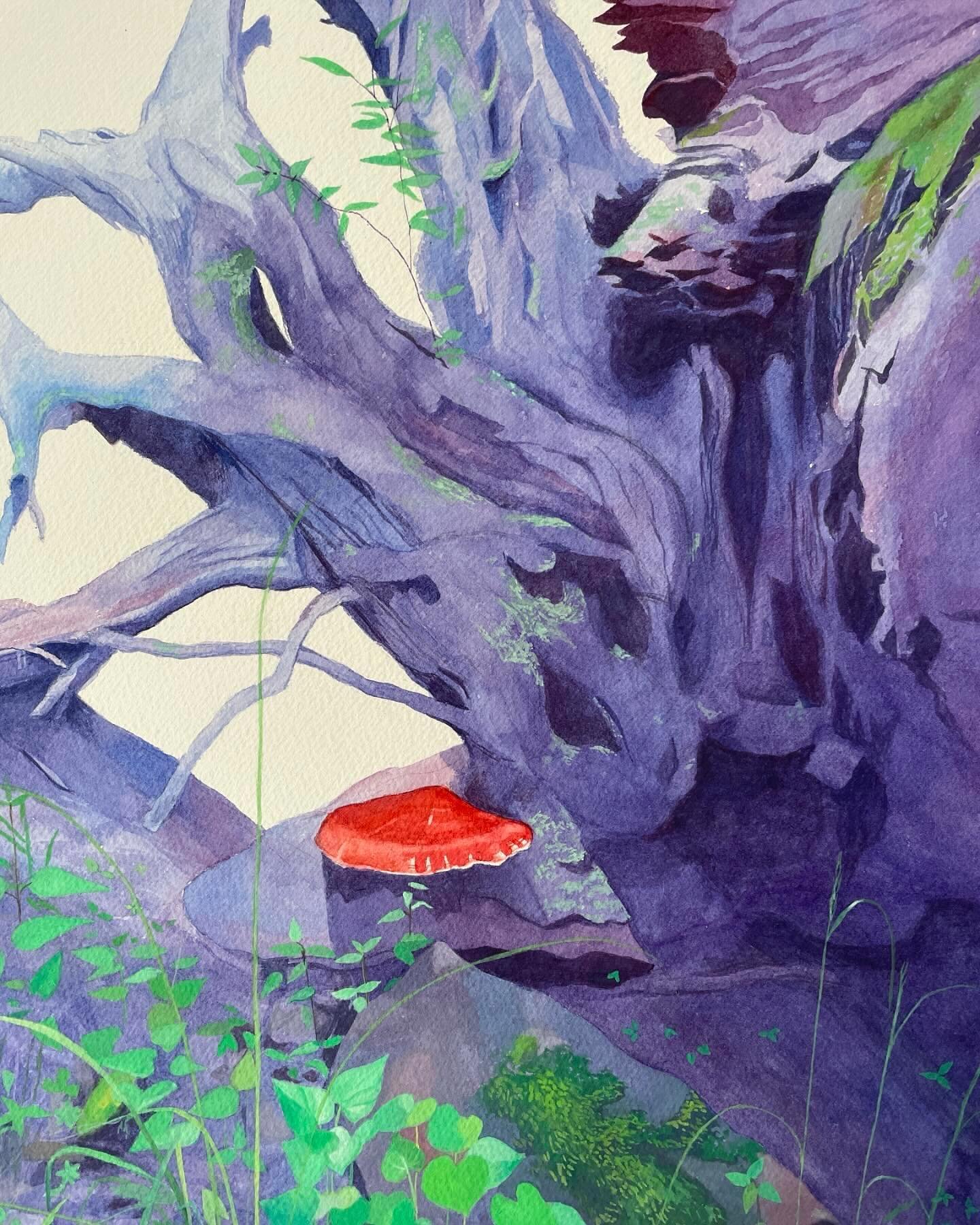 The painting isn&rsquo;t done, but it&rsquo;ll be a moment until I can work on it again - so sharing on the grid. 

Gouache over watercolor - a first for me, and an attempt to capture the incredible layering of life over decay I witnessed on the &ldq