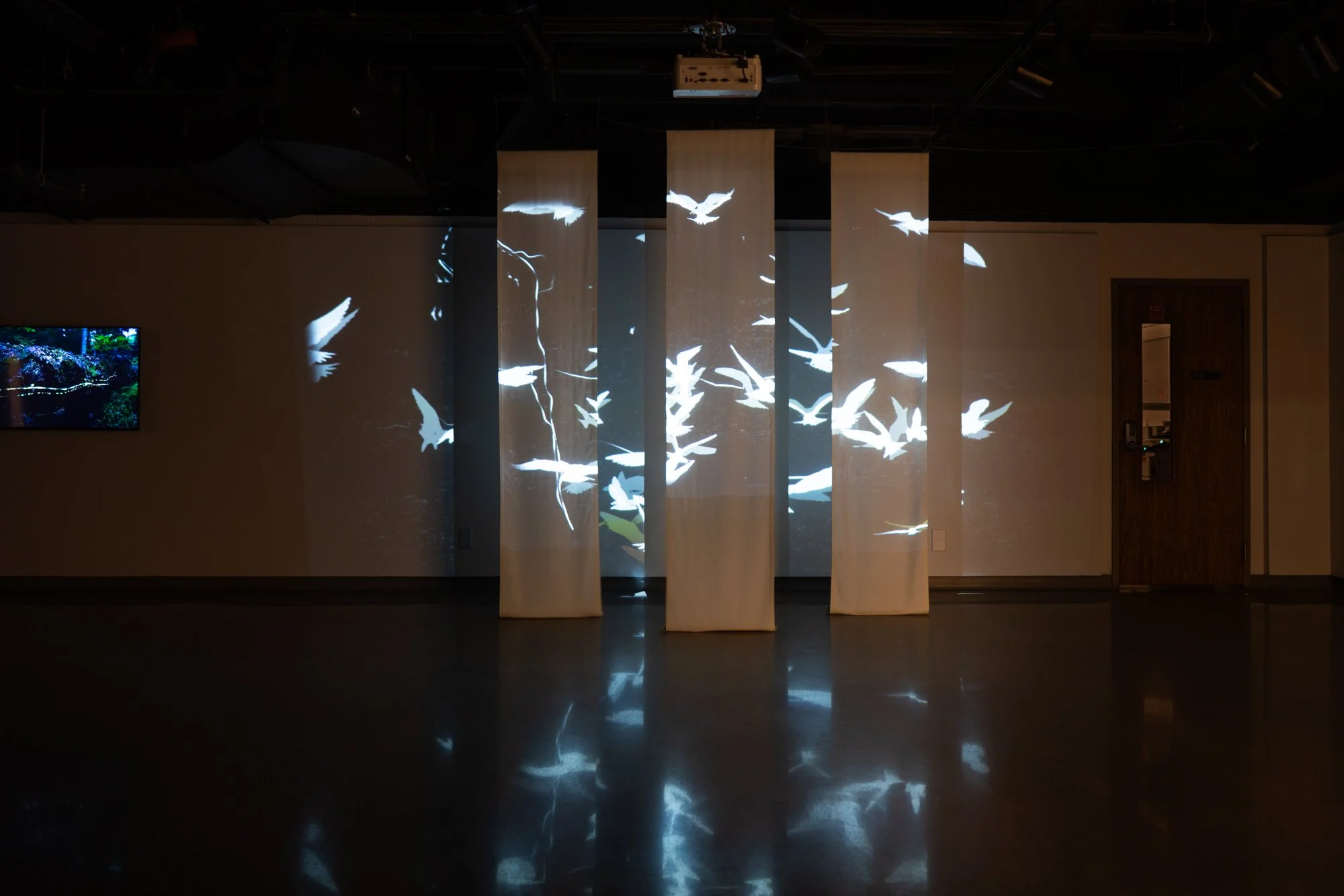 Terns Turning (Installation)